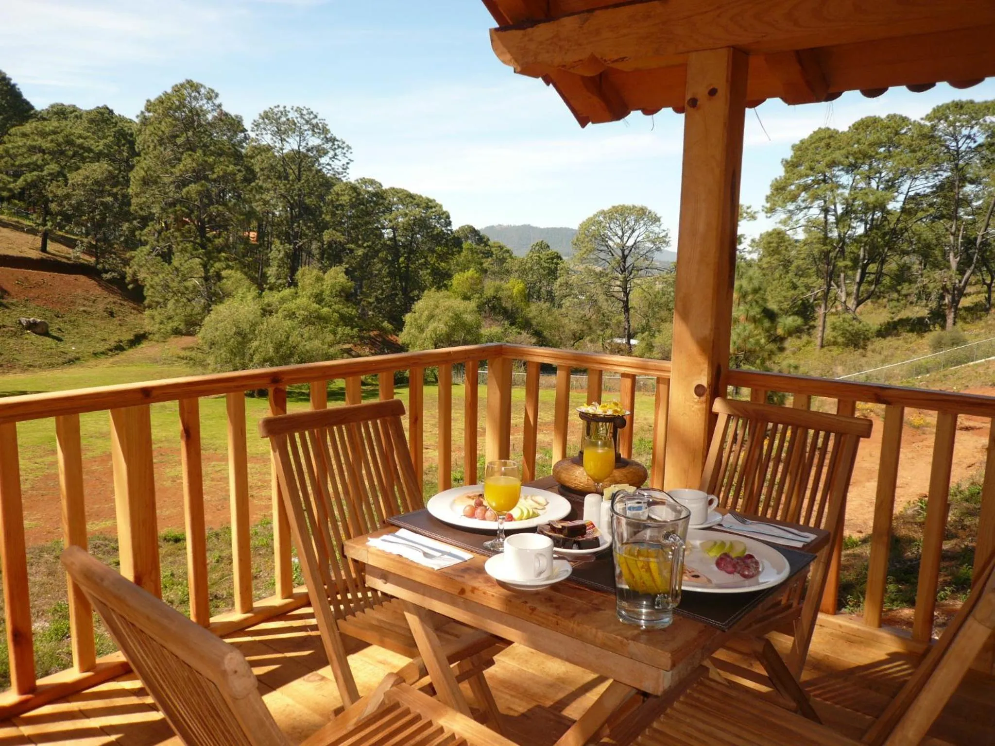 Day in Bosque Escondido