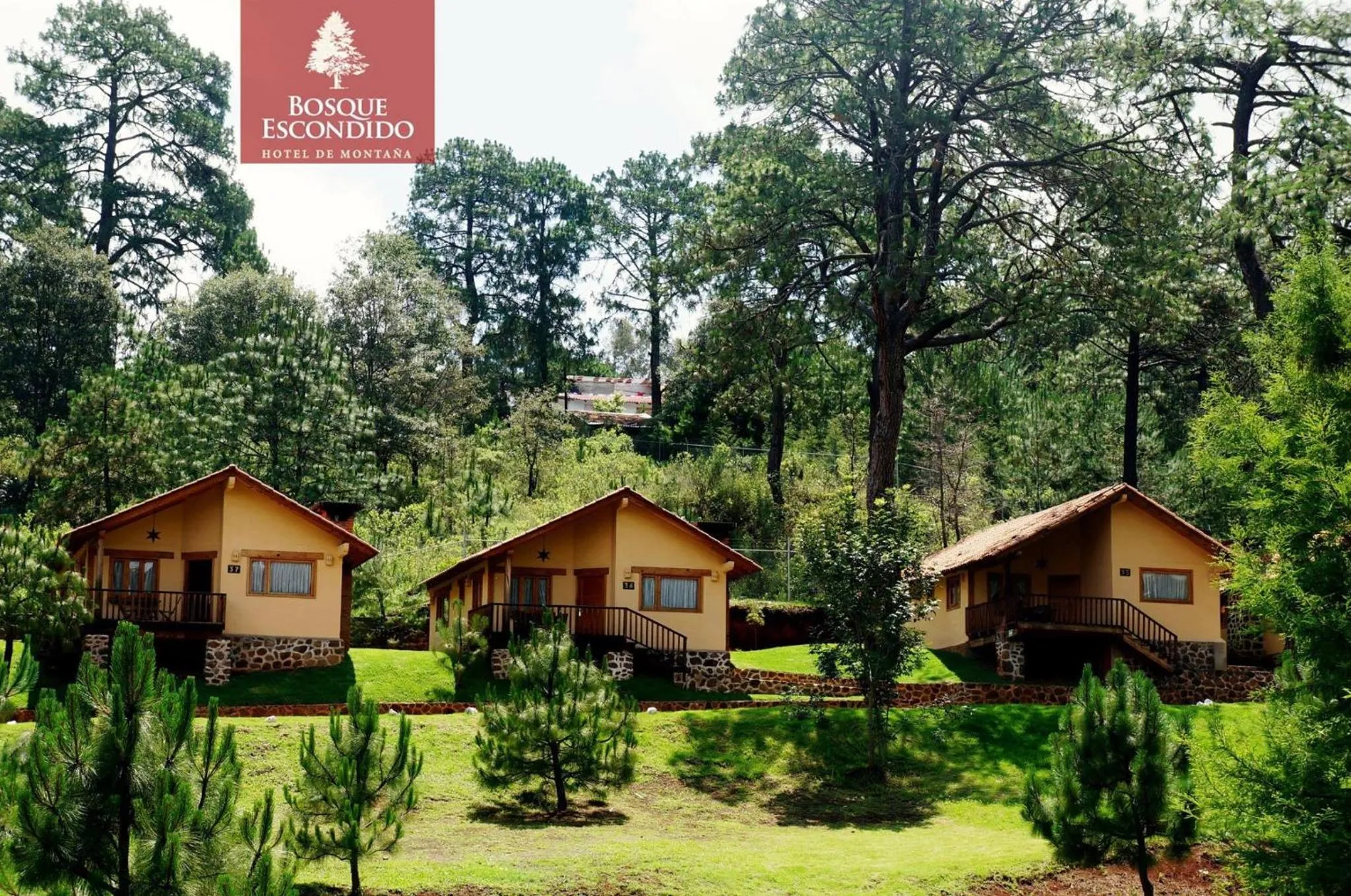 Property building in Bosque Escondido