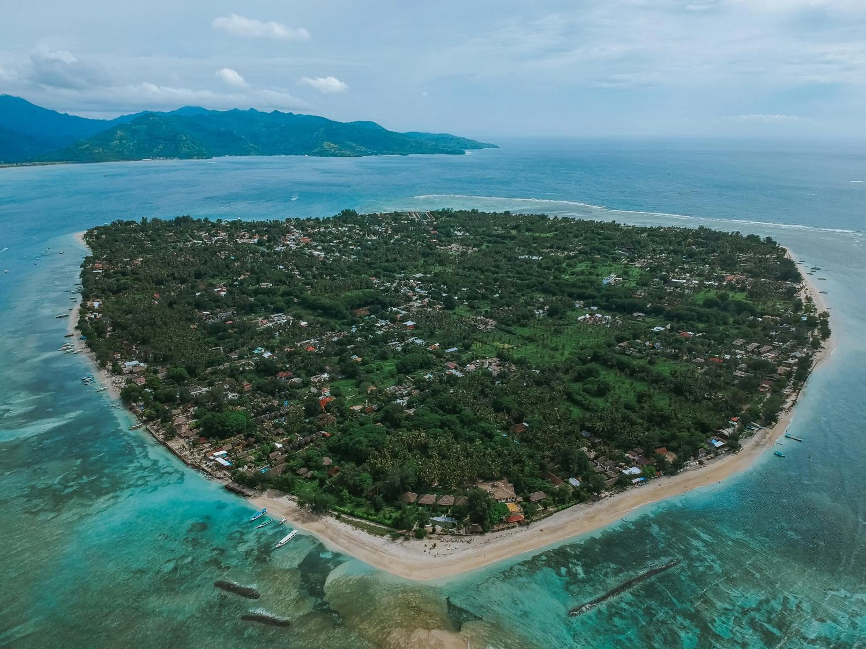 Flowers & Fire Yoga Garden