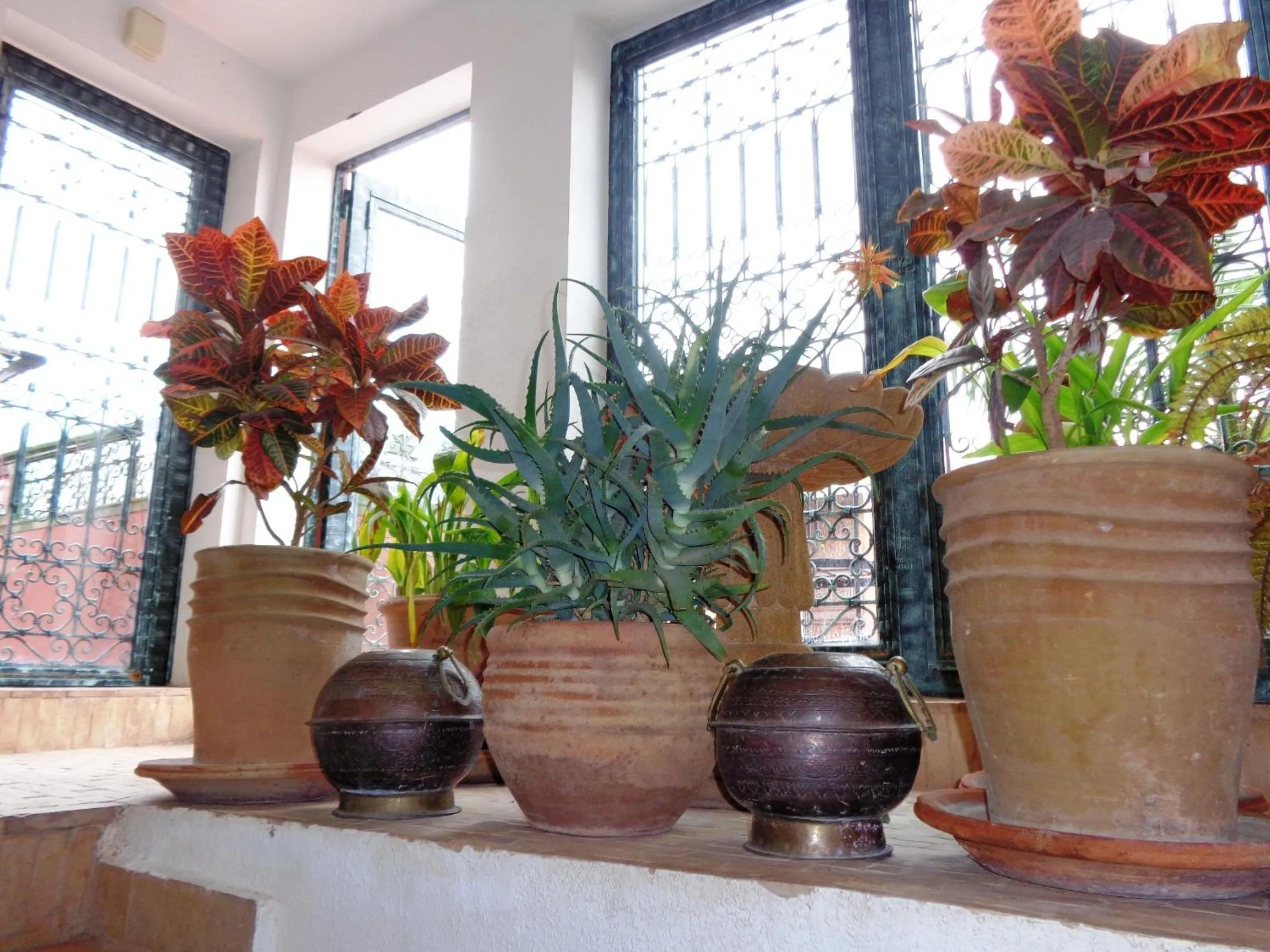 Patio in Riad Sesame