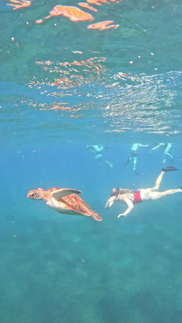 Jemeluk Beach Bungalows