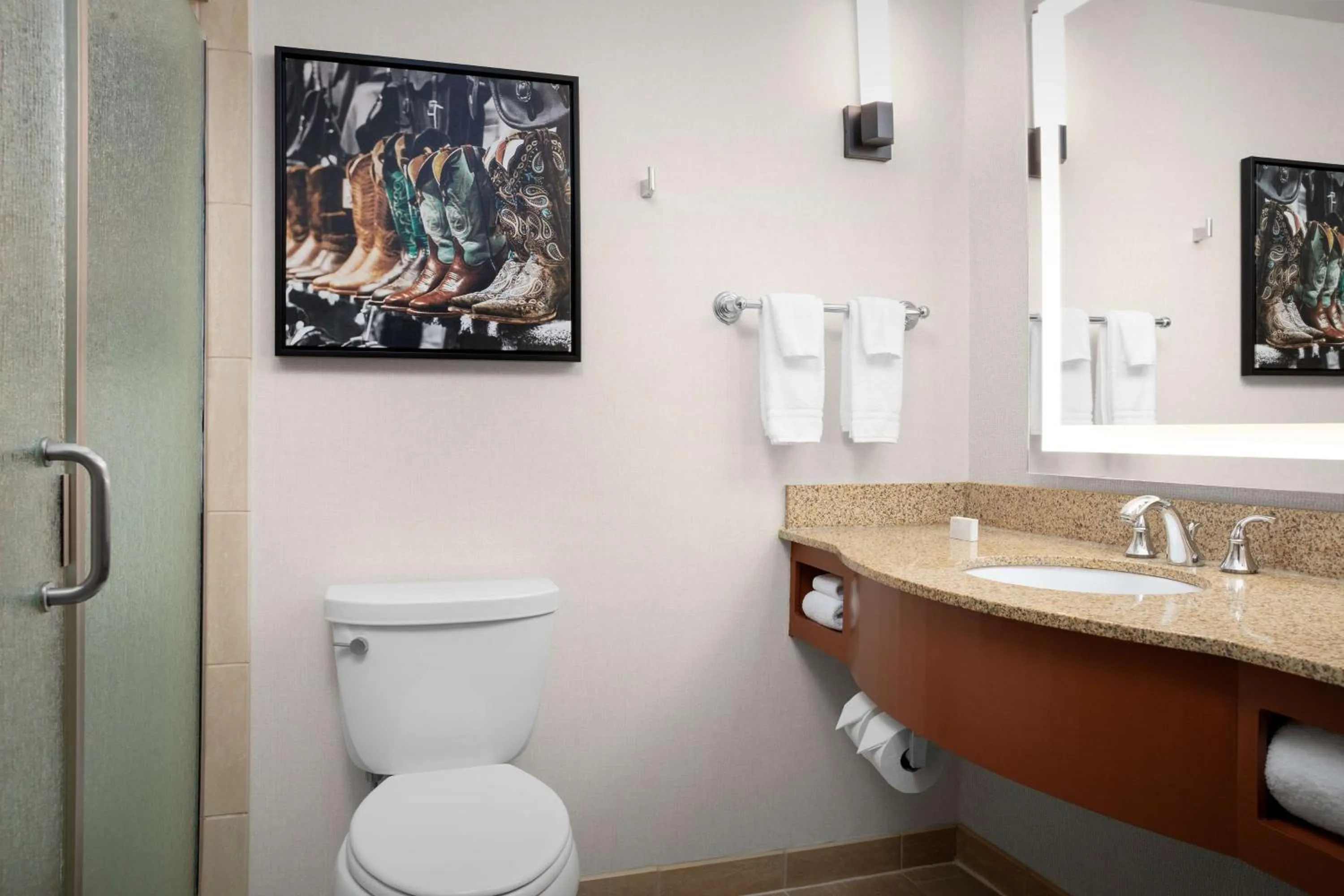 Bathroom in Hilton Garden Inn Fort Worth Medical Center