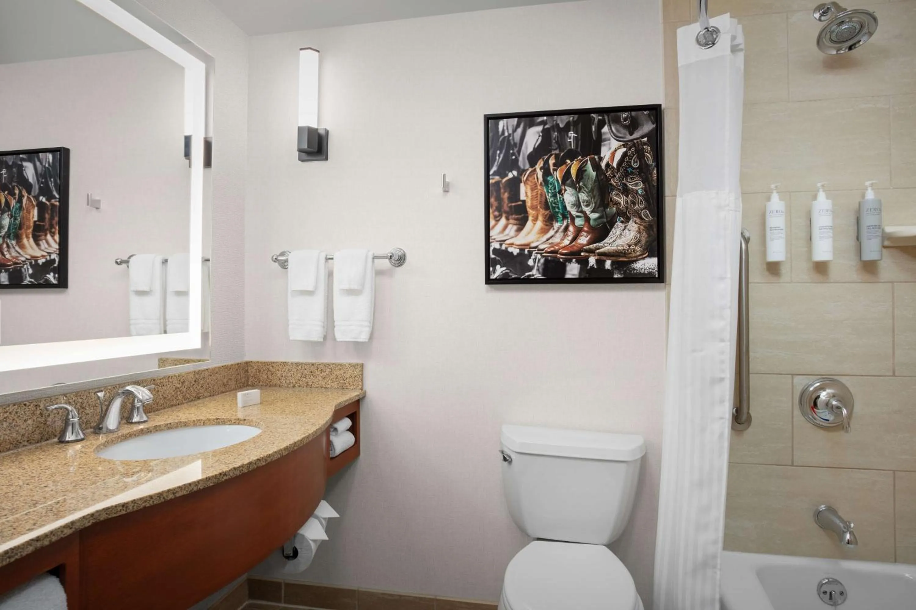 Bathroom in Hilton Garden Inn Fort Worth Medical Center