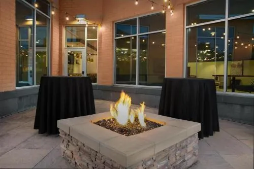 Hilton Garden Inn Fort Worth Medical Center