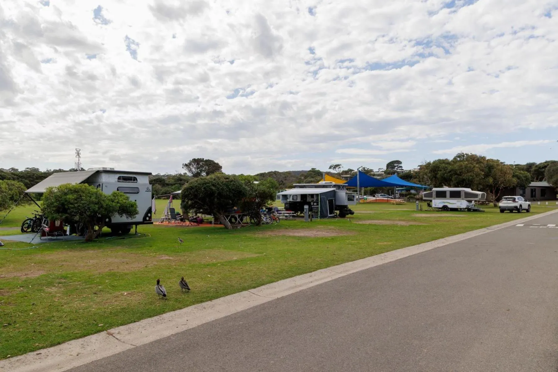 Anglesea Family Caravan Park