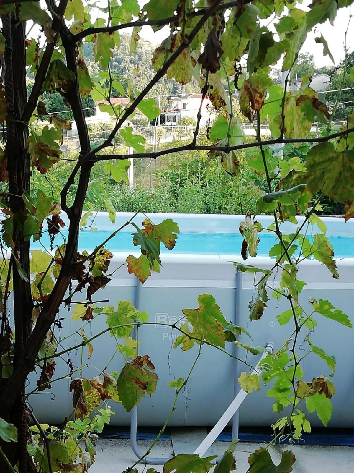 Swimming pool in Alla Contrada degli Asinelli