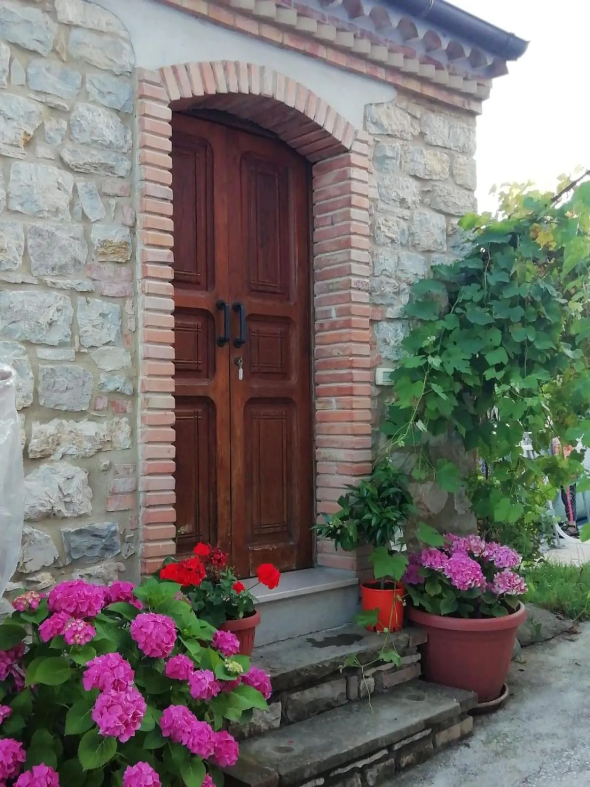 Alla Contrada degli Asinelli