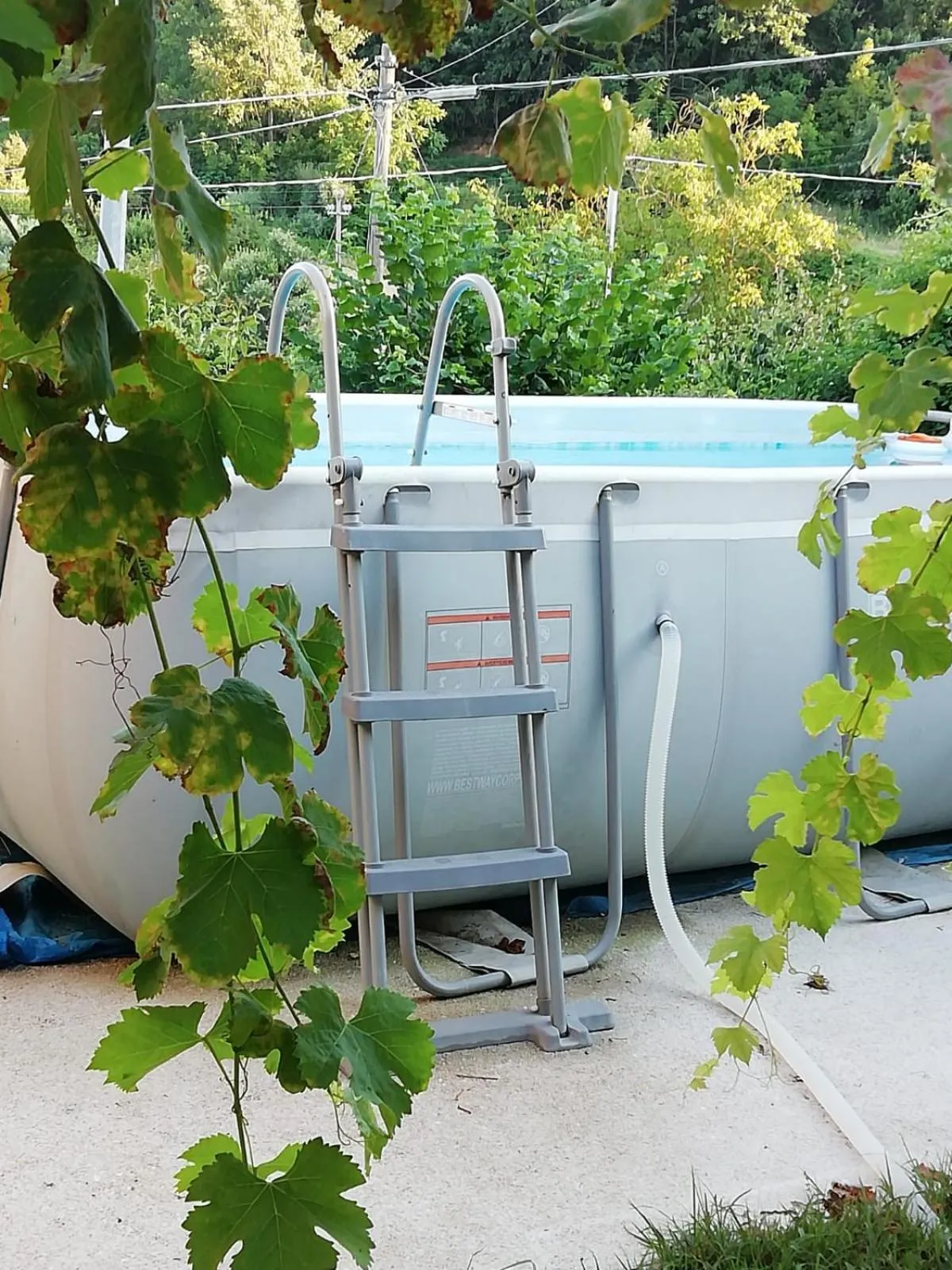 Garden in Alla Contrada degli Asinelli