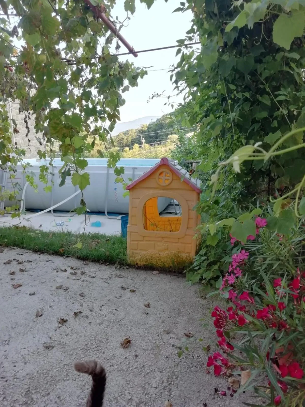 Swimming pool in Alla Contrada degli Asinelli
