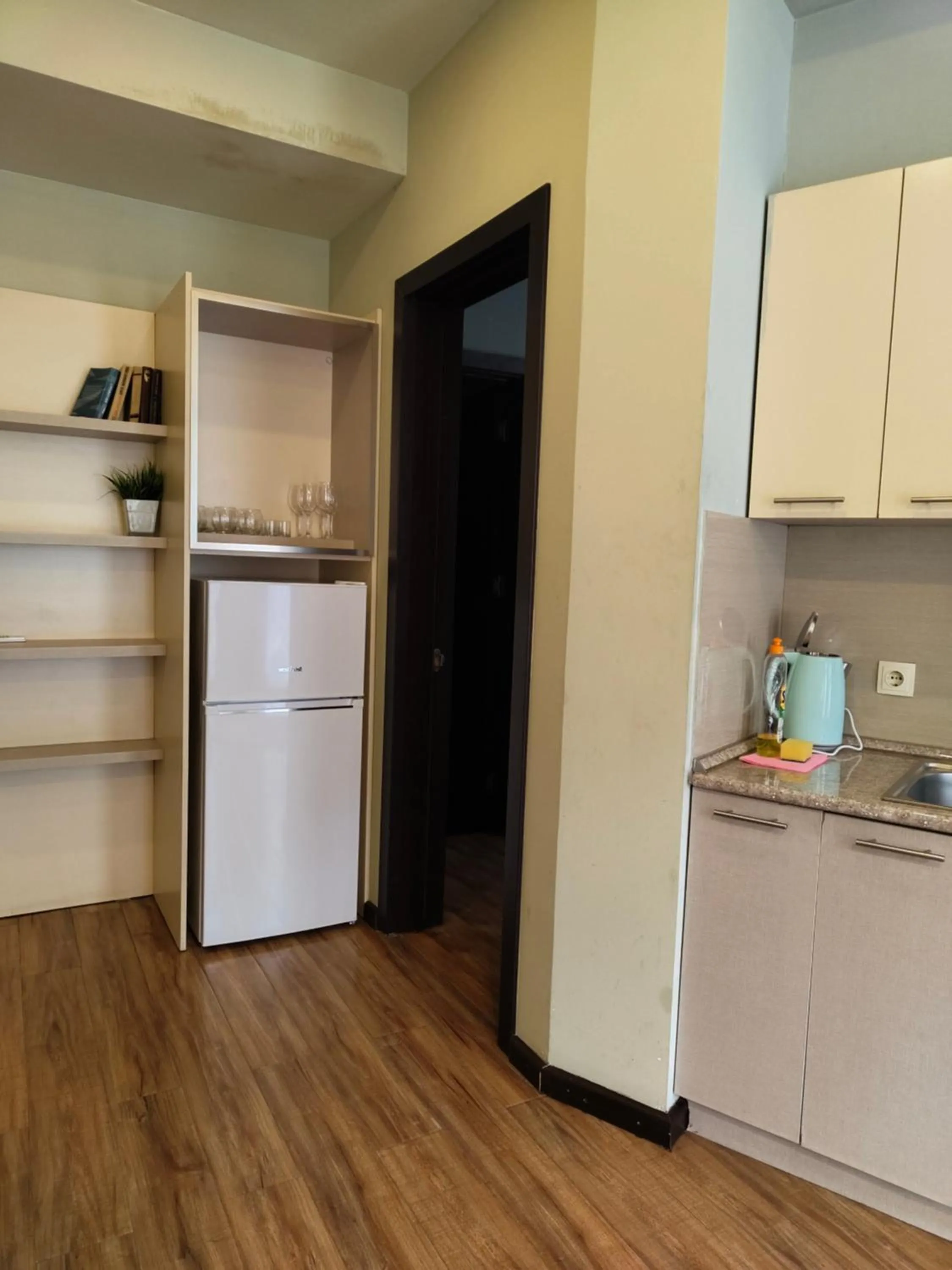 Kitchen or kitchenette in Sani Apart Hotel