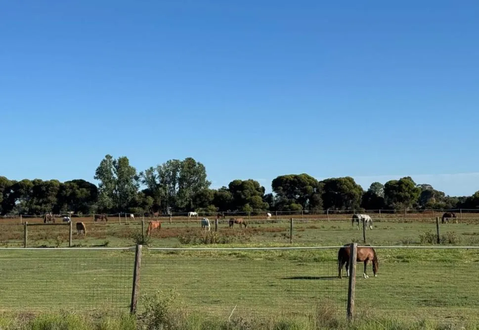 Lazy River Motor Inn