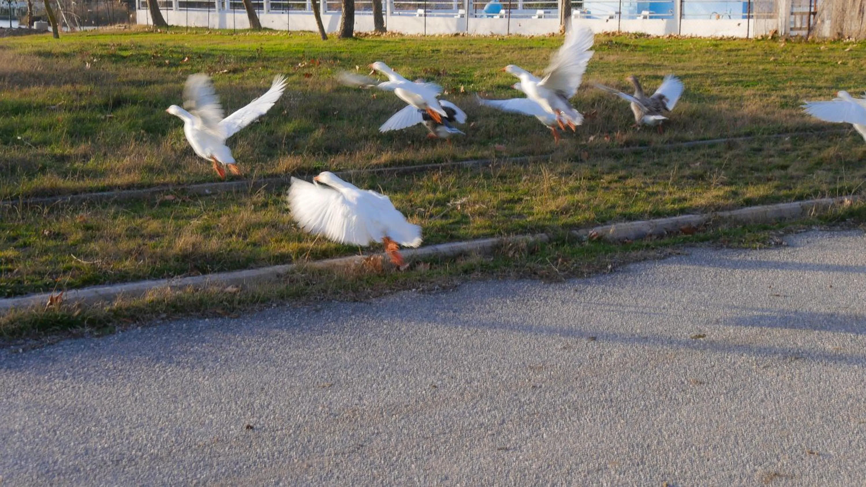 Day in Thrassa Hotel