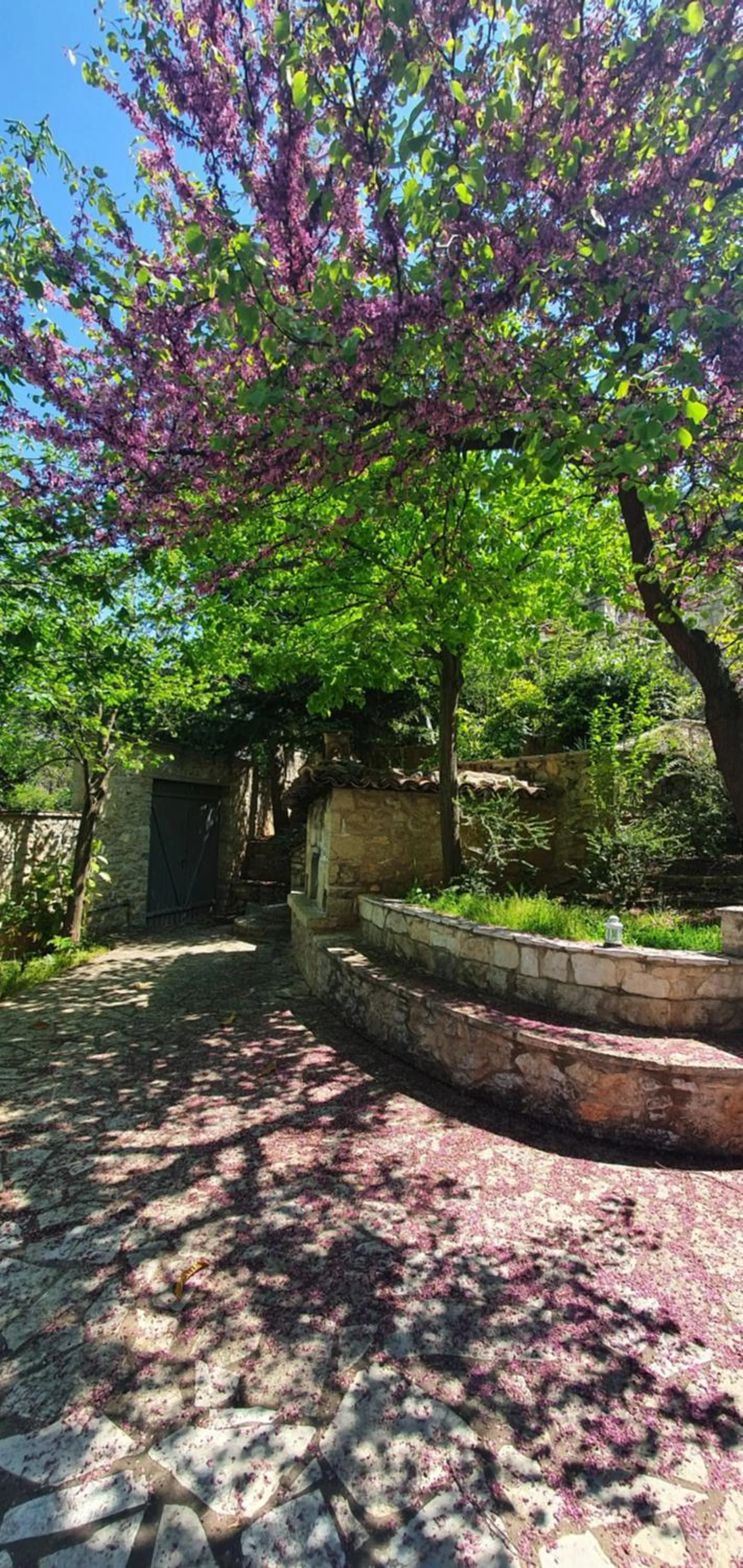 Garden in Kyriaki Guesthouse & Suites