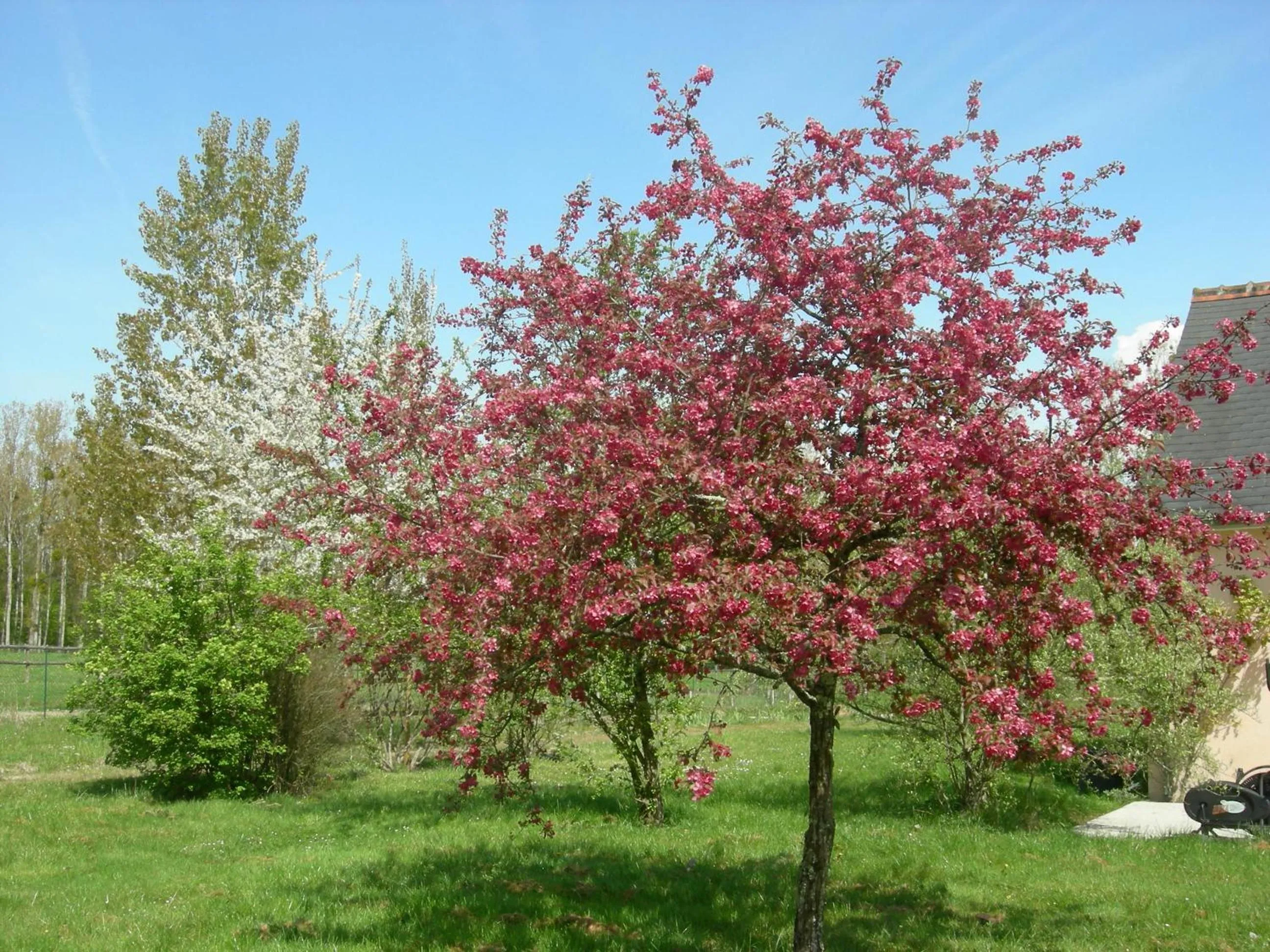 Property building in Chambre d'hôtes