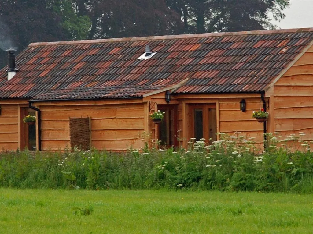 Other in The Holcombe