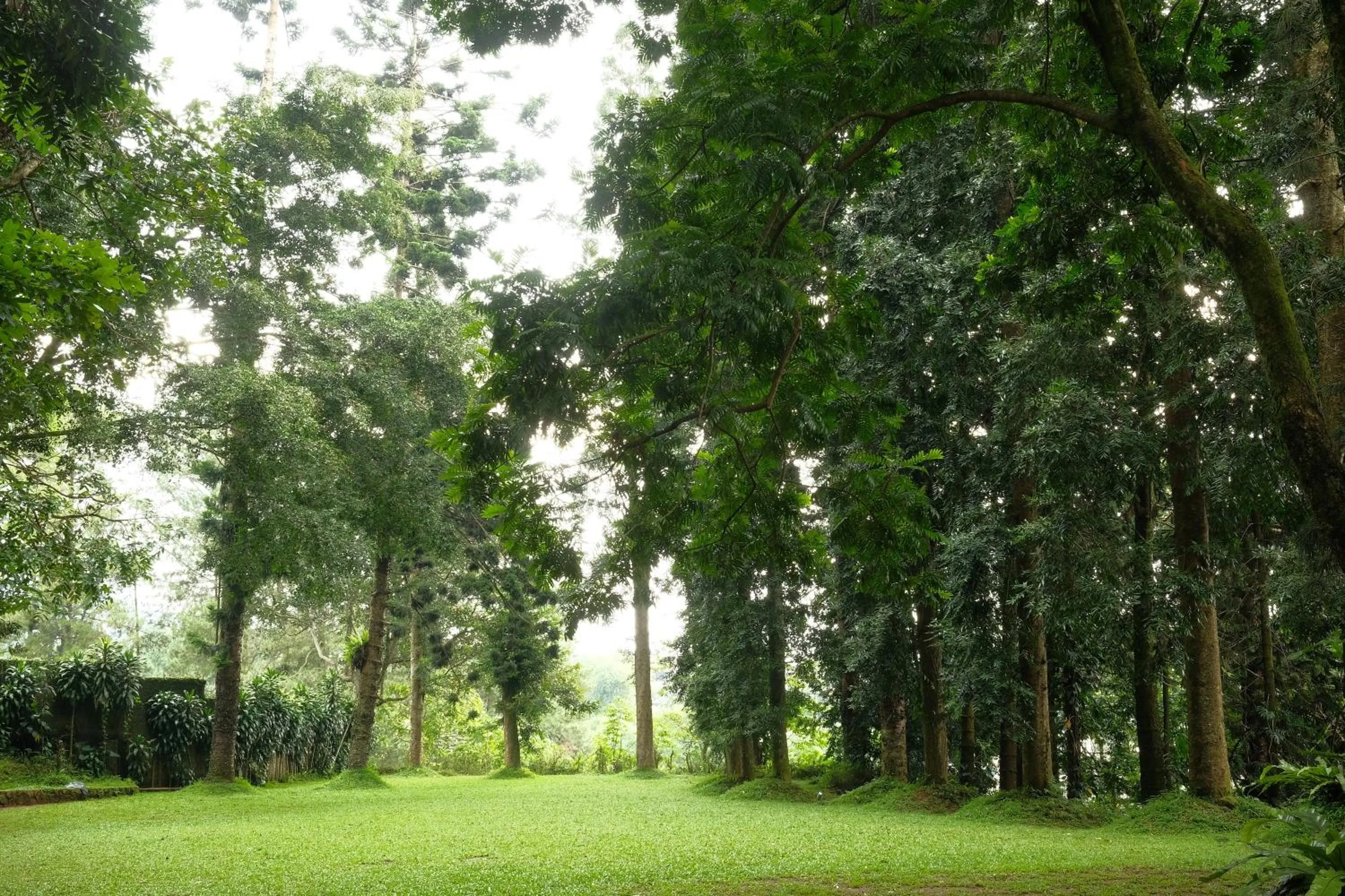 Natural landscape in The Grand Hill Resort-Hotel