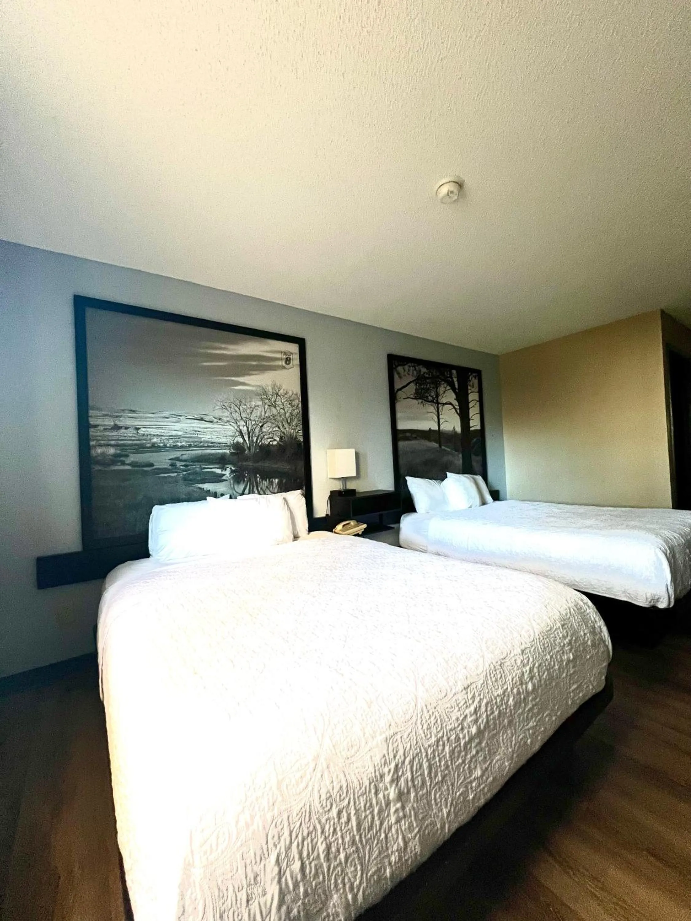 Bed in Super 8 by Wyndham Estherville