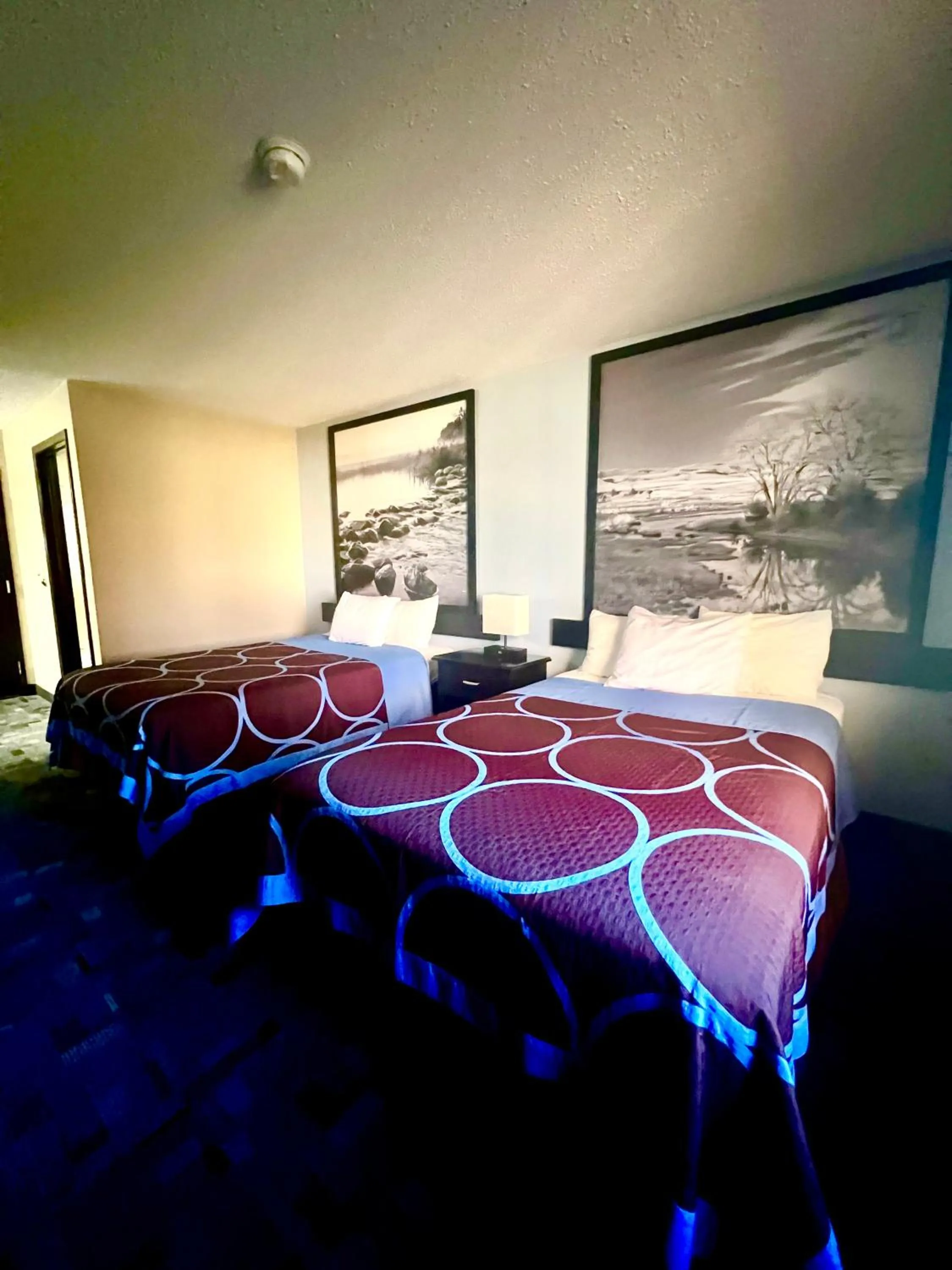 Bed in Super 8 by Wyndham Estherville