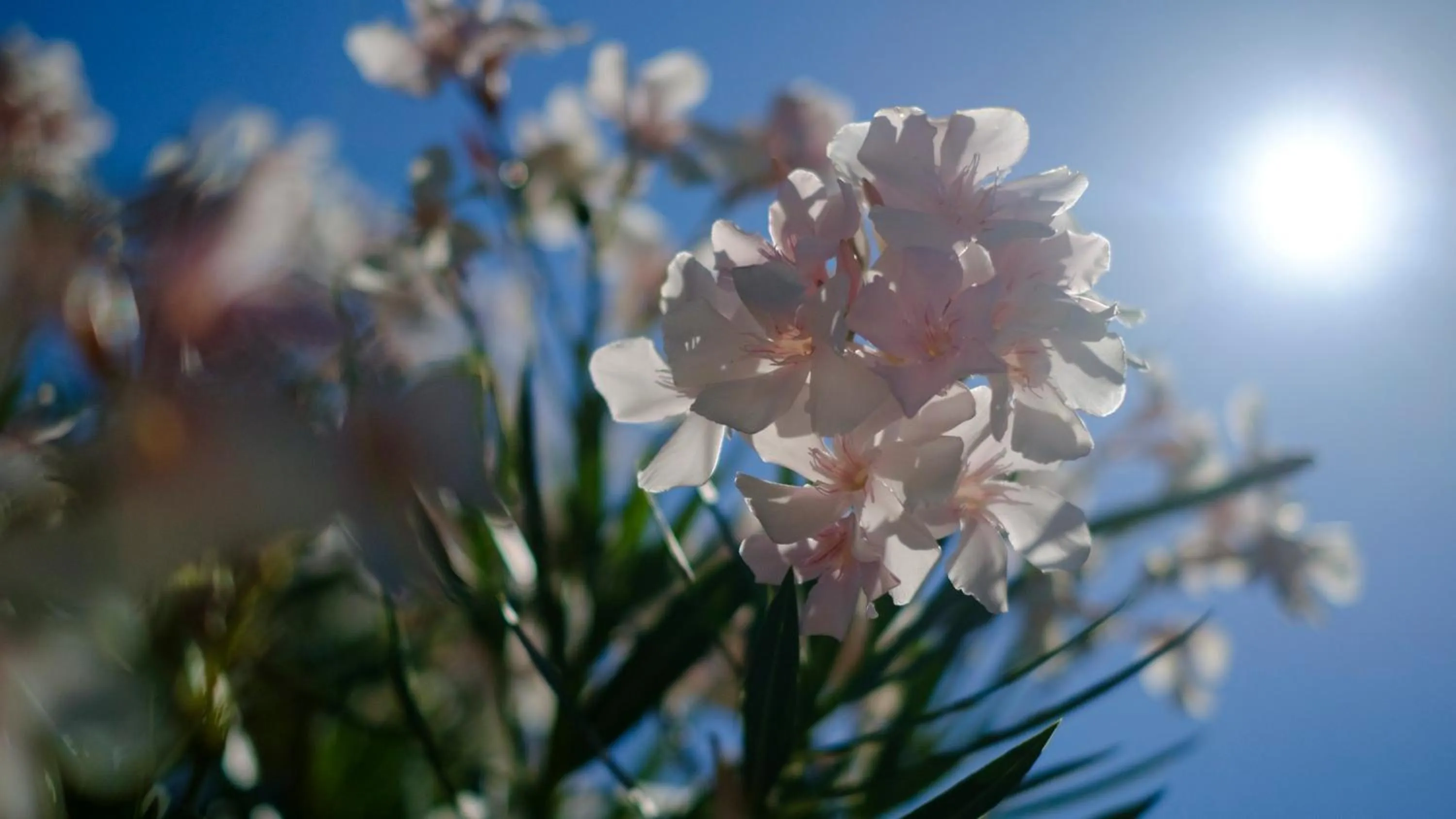 Off site in Hotel Flores