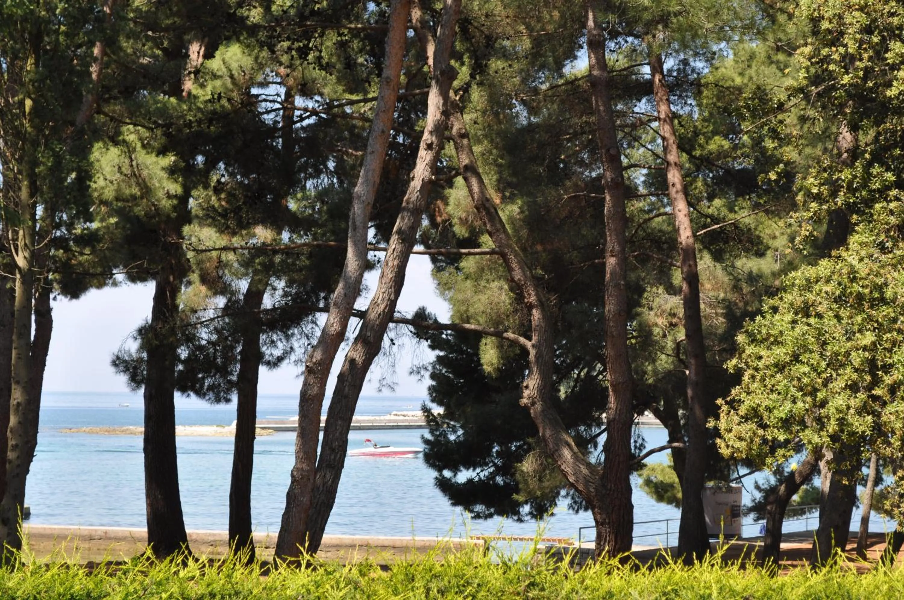 Area and facilities in Hotel Flores