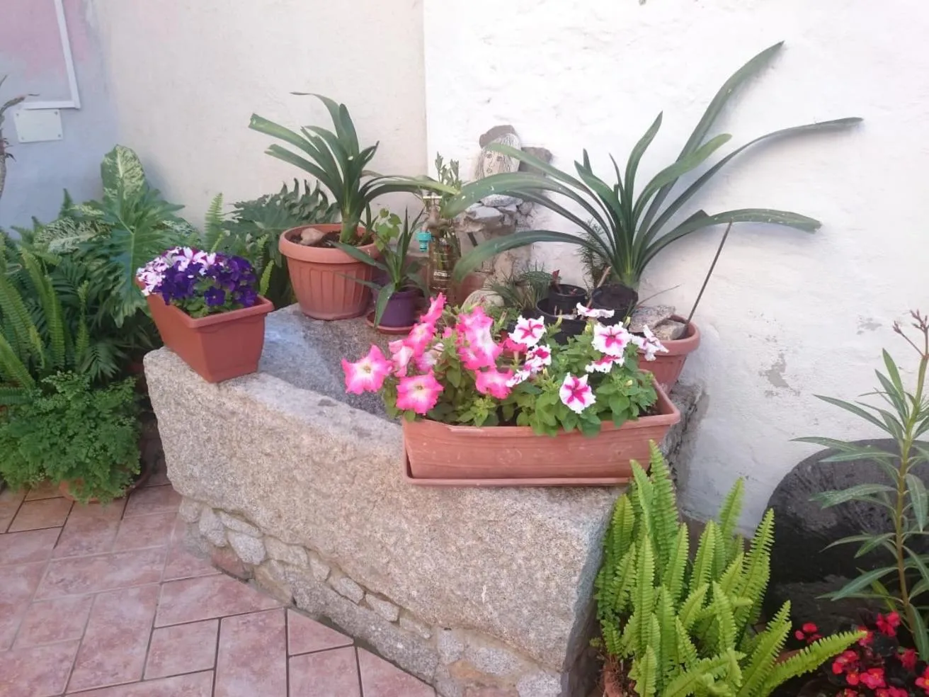 Garden in B&B Beranu