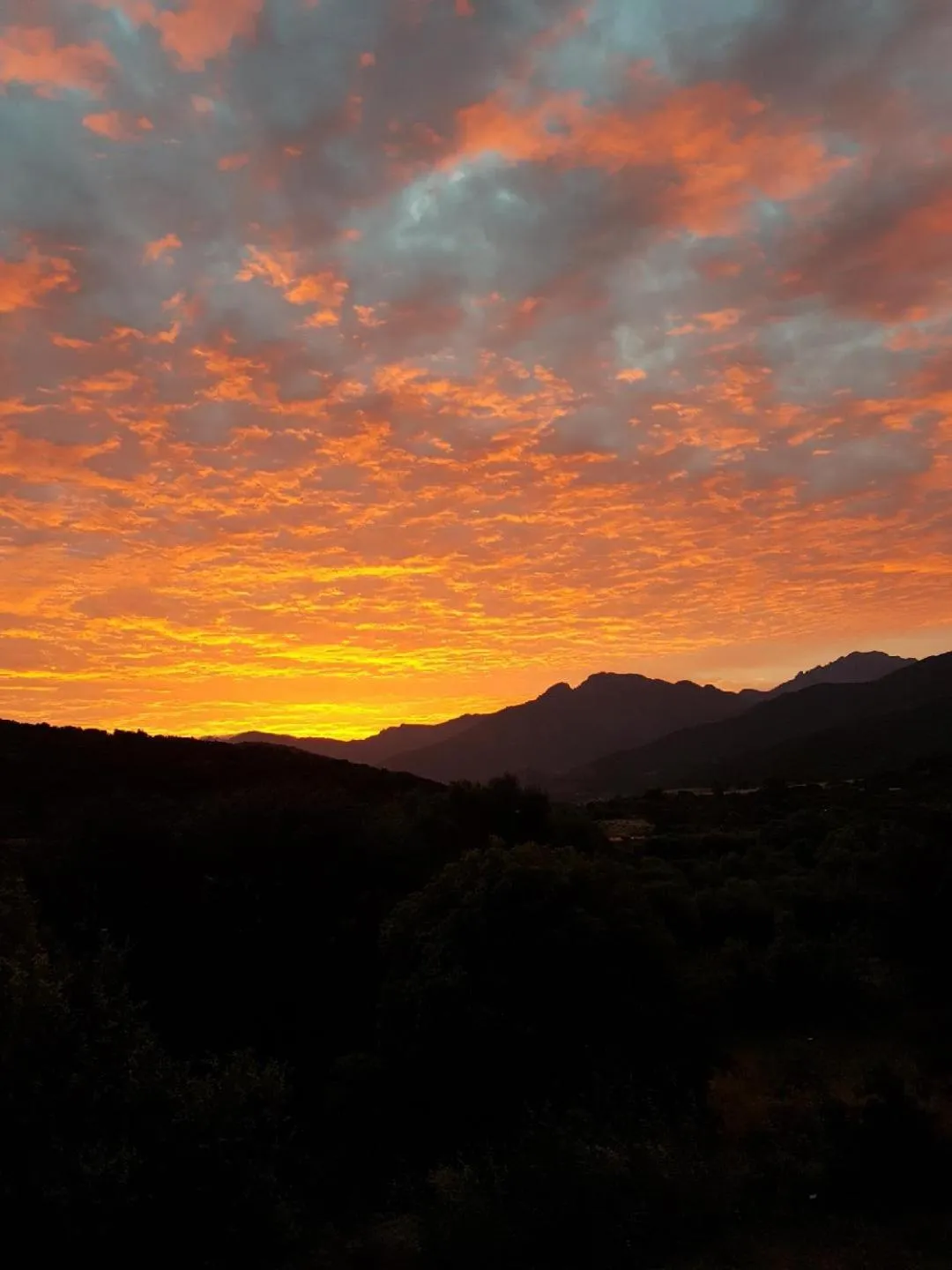 Natural landscape in Hotel Cinque Arcate