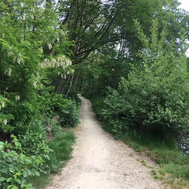 Hiking in AuxiliumWellness Get Back to Serenity