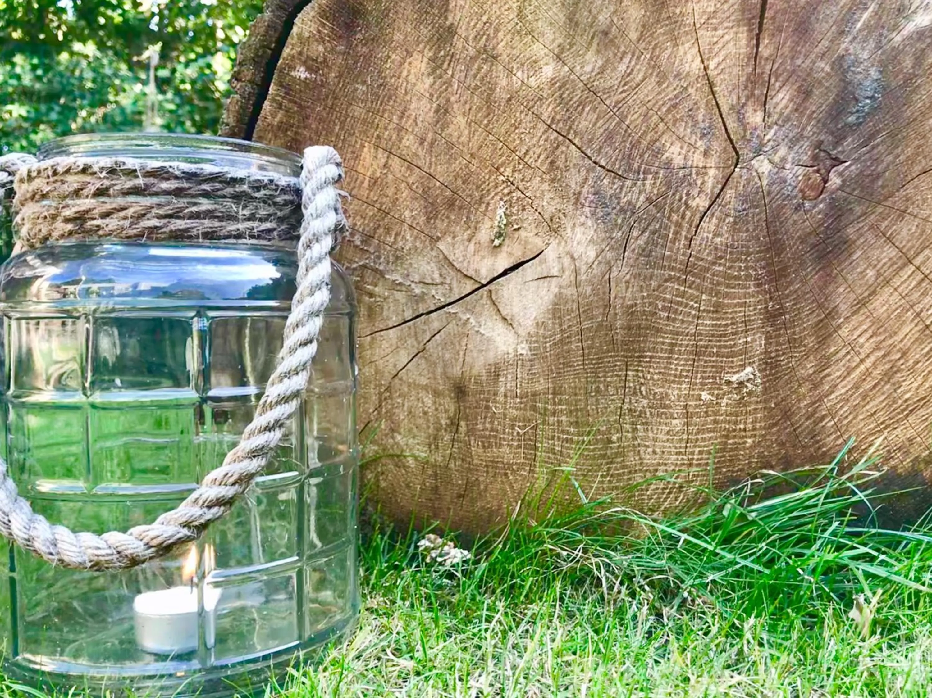 Garden in AuxiliumWellness Get Back to Serenity