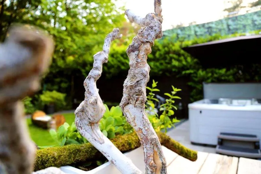 Hot Tub in AuxiliumWellness Get Back to Serenity