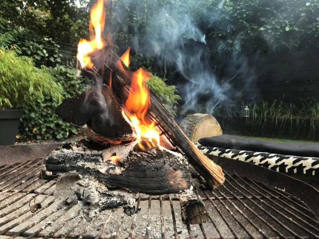 BBQ facilities in AuxiliumWellness Get Back to Serenity
