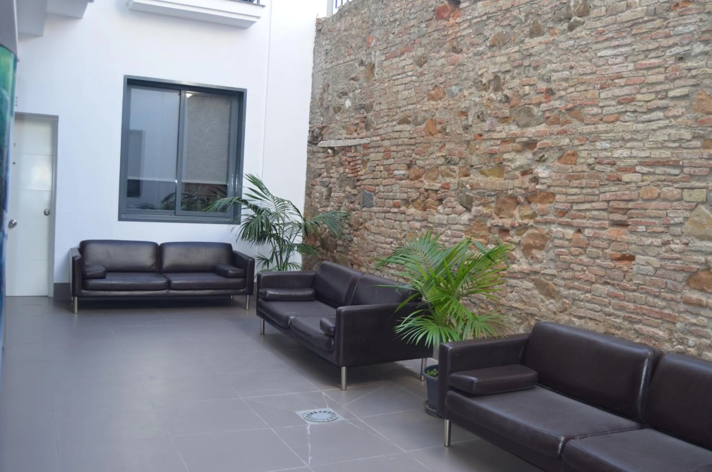 Area and facilities in Apartamentos San Pablo