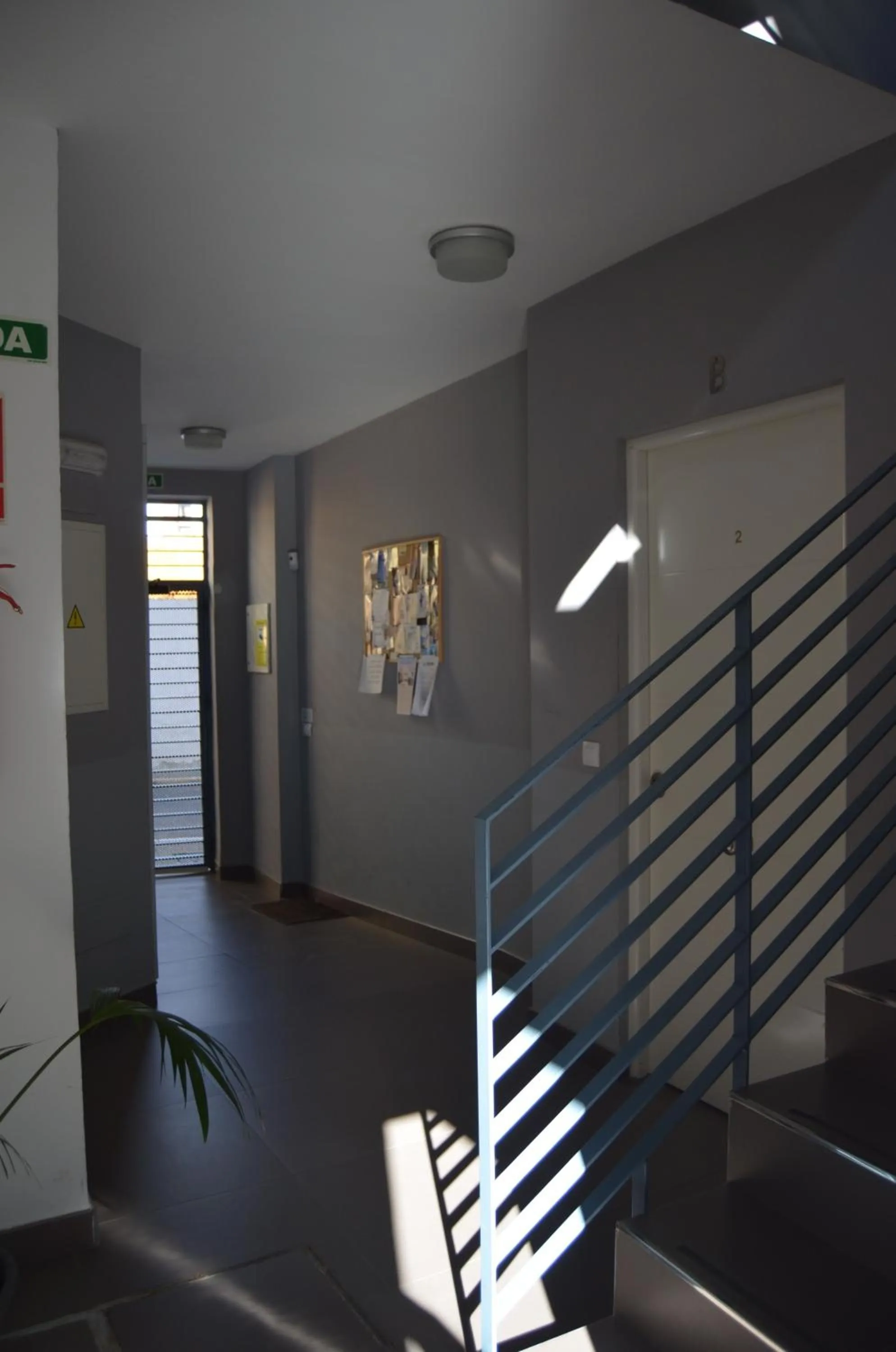 Area and facilities in Apartamentos San Pablo