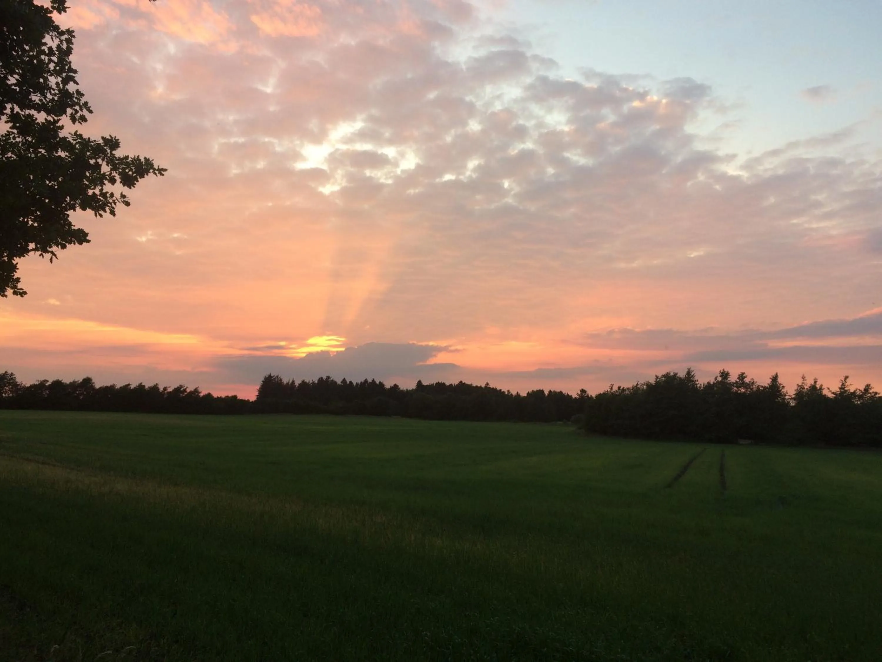 Natural landscape in Billund Holiday - Assengaard B & B