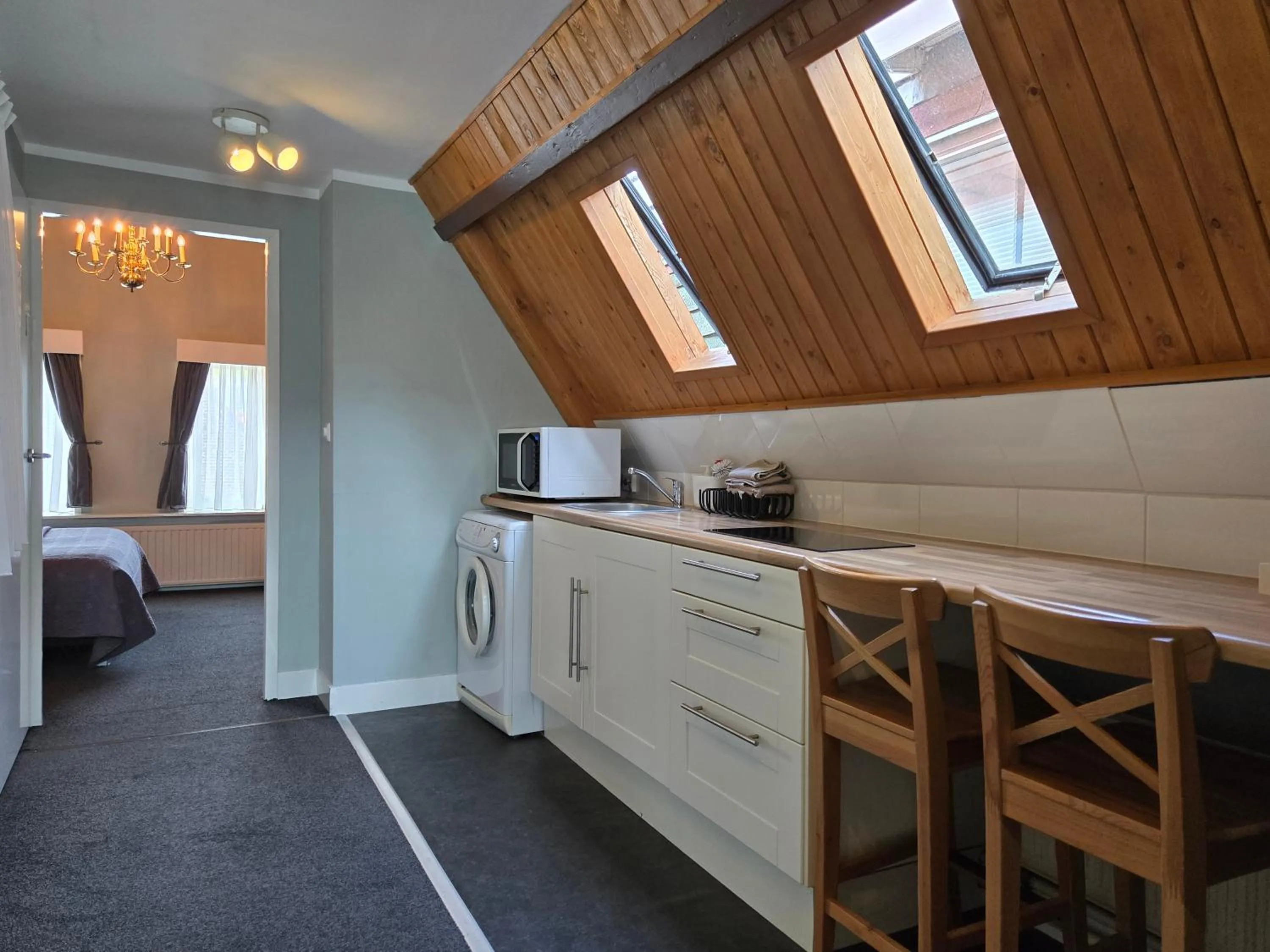 Kitchen or kitchenette in Boutique Hotel Huys van Leyden