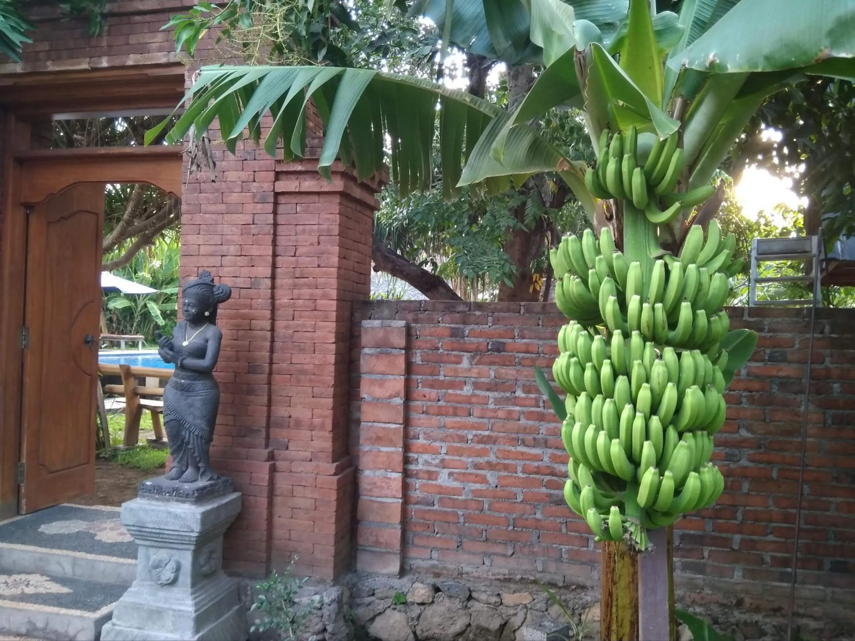 Garden in Suka Sari Cottages