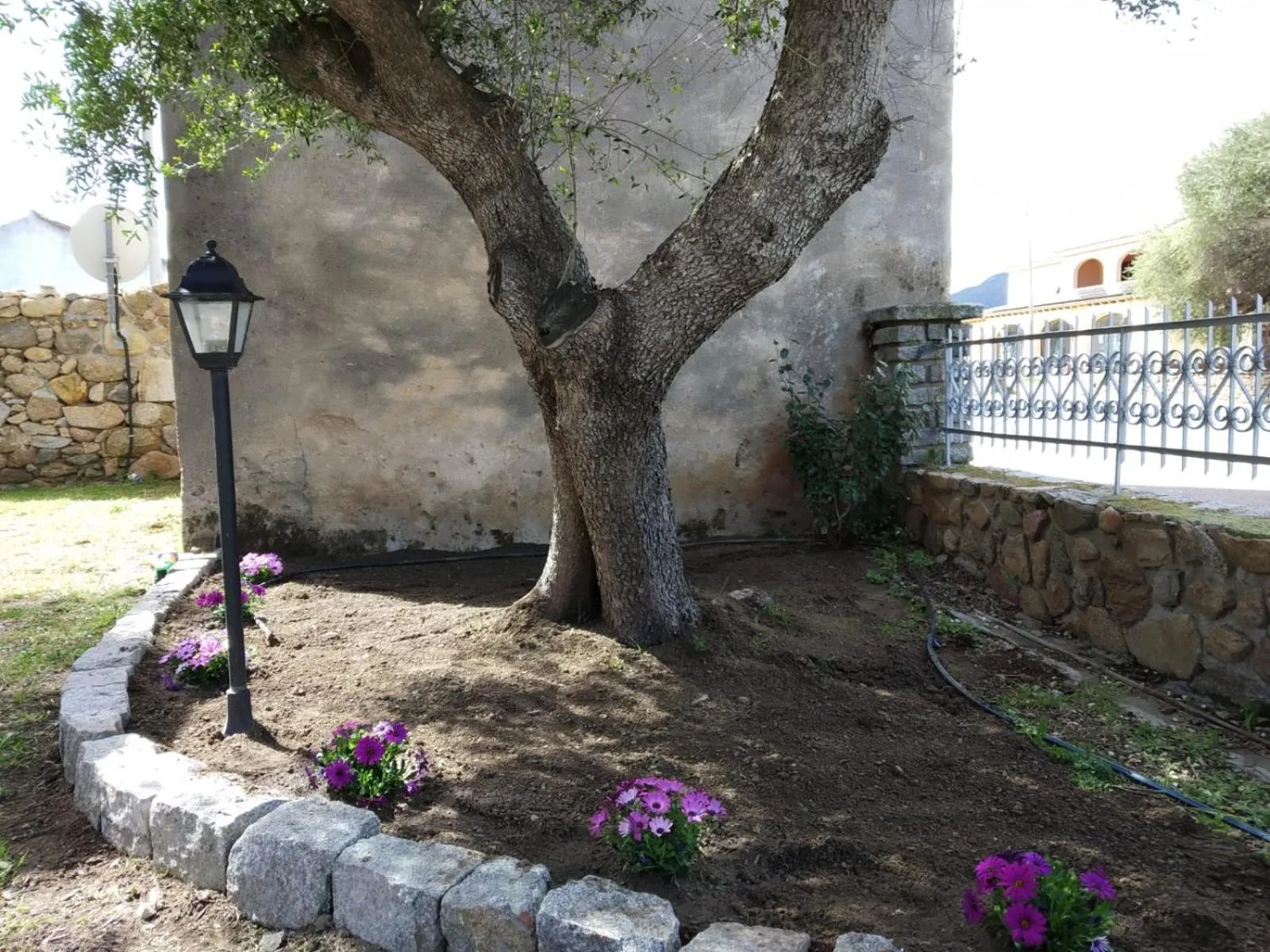 Garden in B&B LE ISOLE