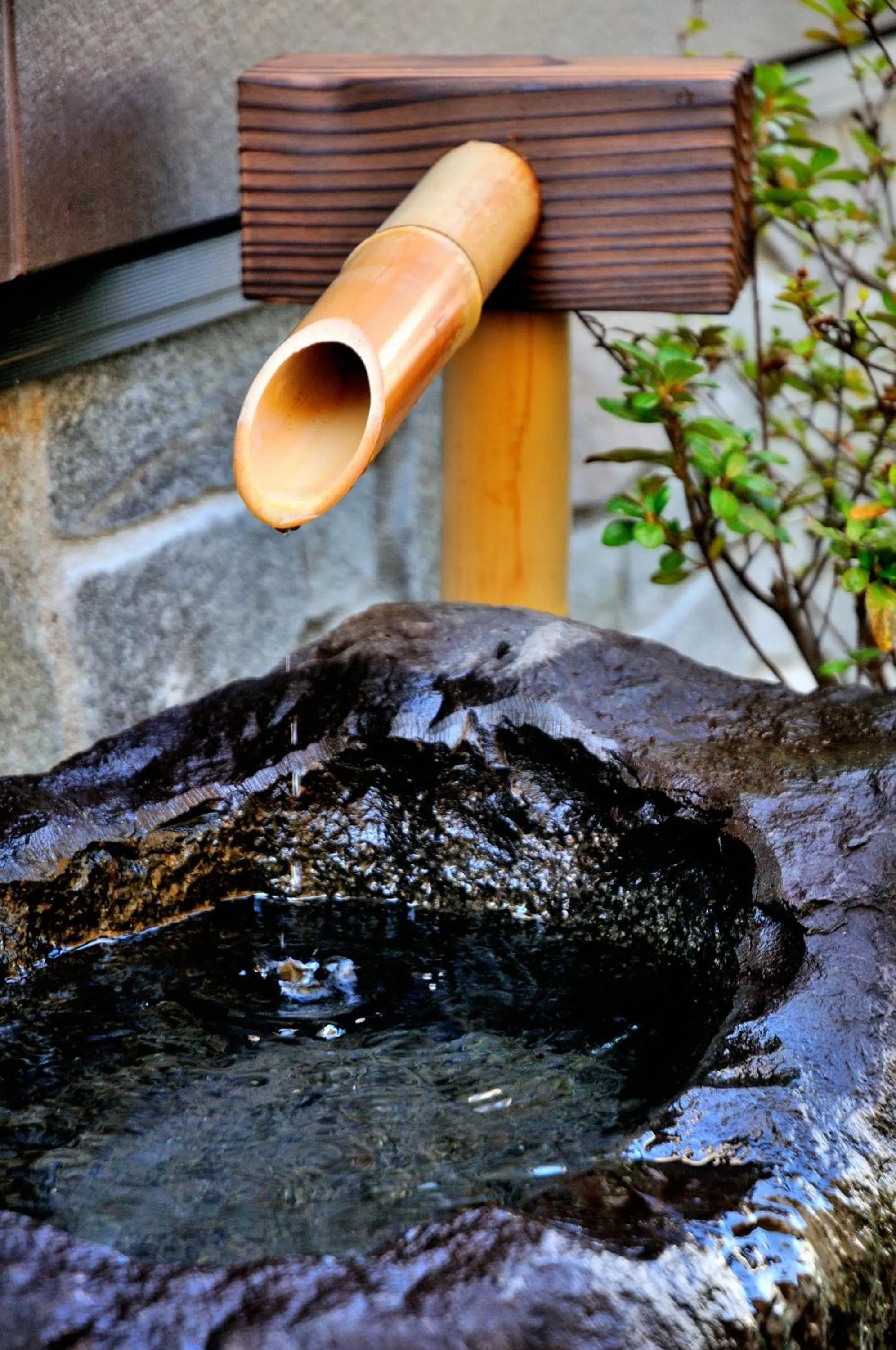 Day in Oyado Yukizumi