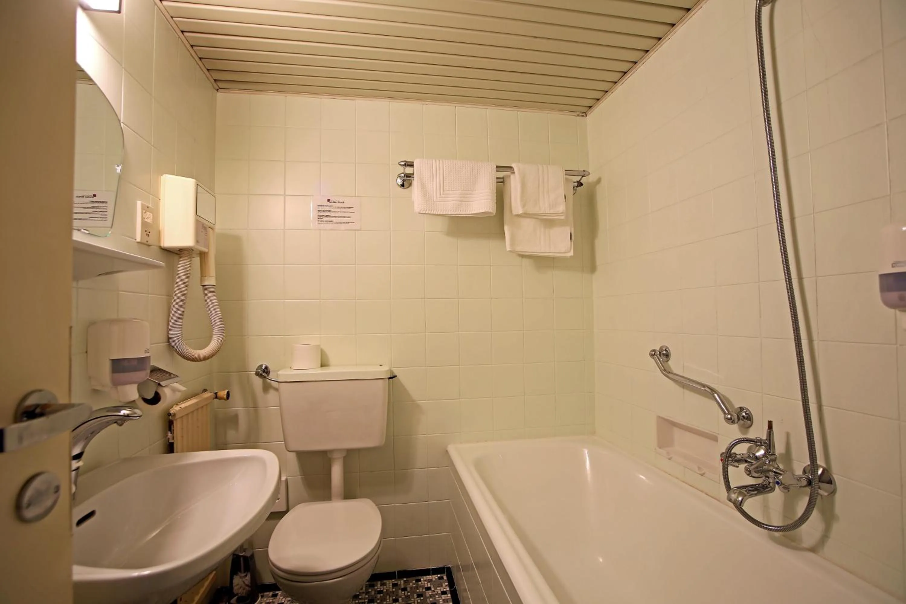 Toilet in AKTIVHOTEL Weisser Hirsch