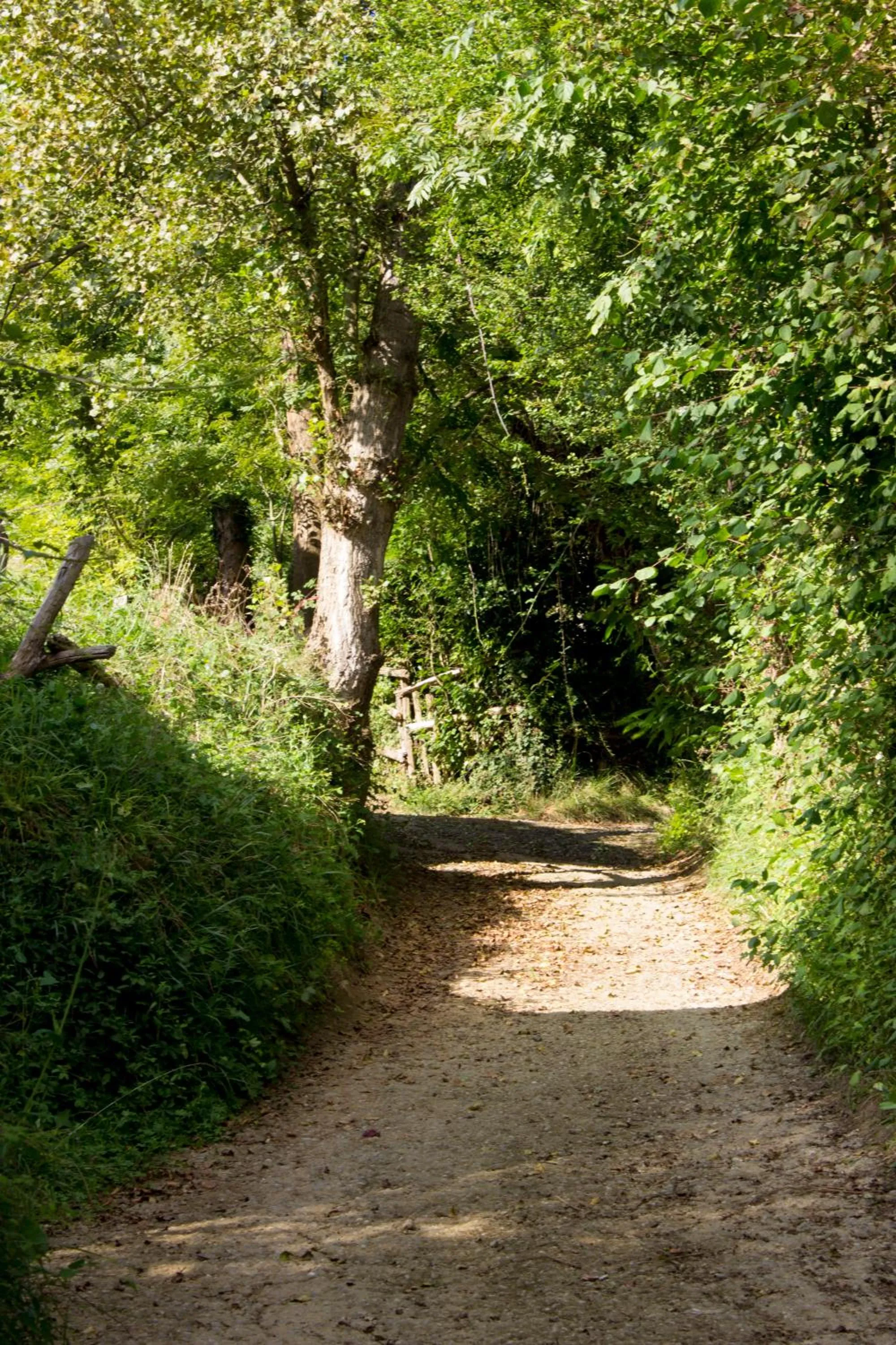 Other in Hotel Doña Gaudiosa