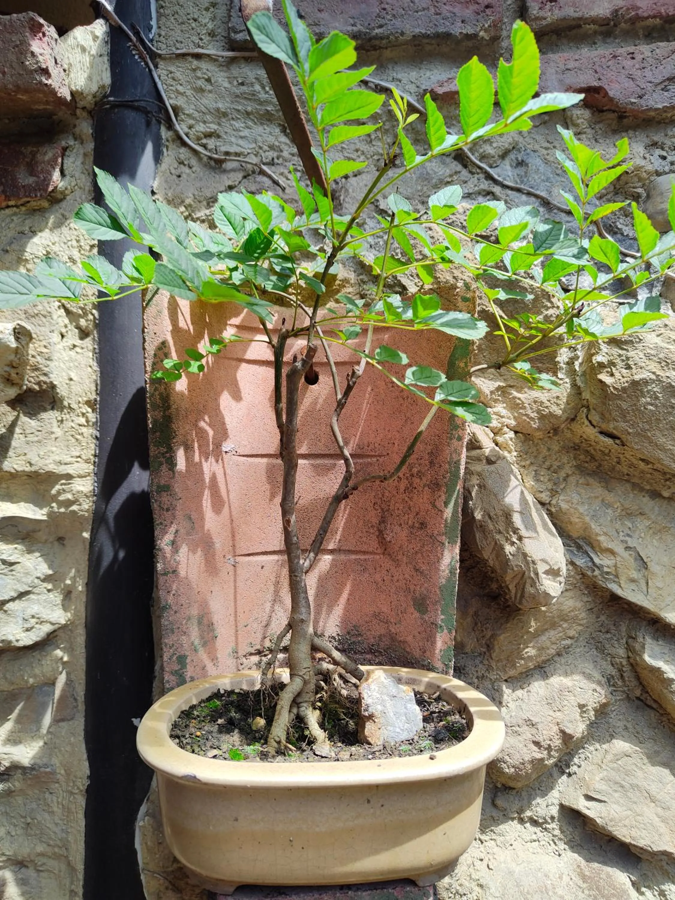 Hotel Doña Gaudiosa