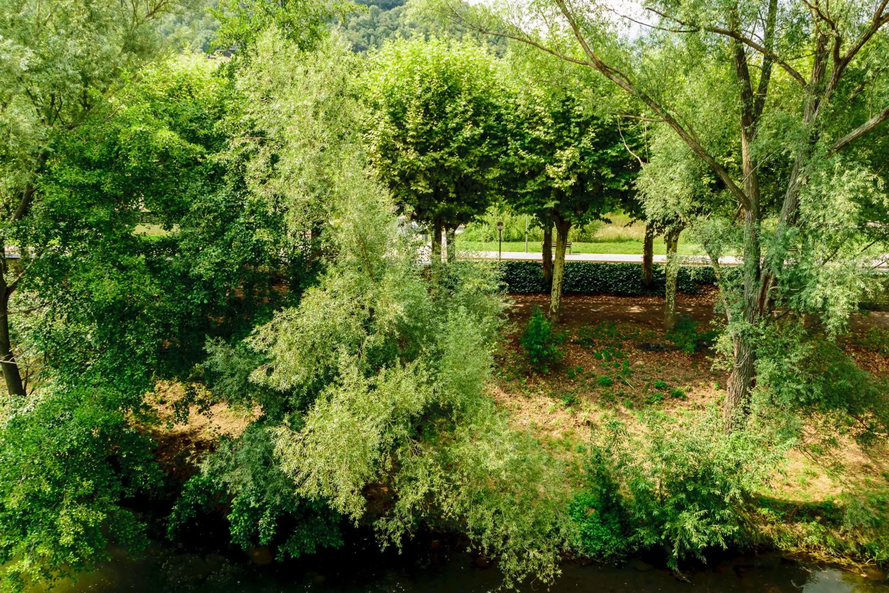 Activities in Hotel Estació