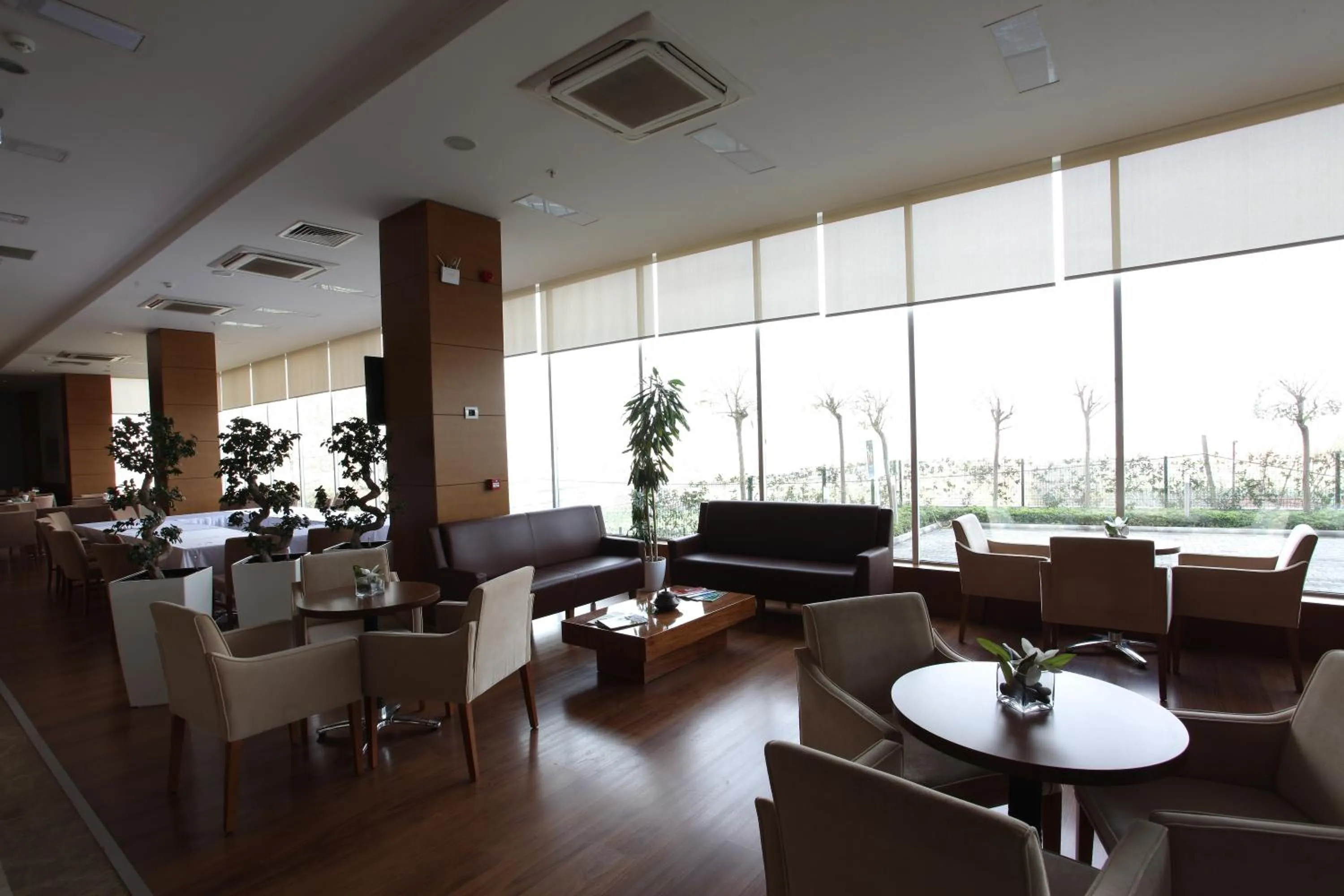 Lobby or reception in Orucoglu Oreko Hotel