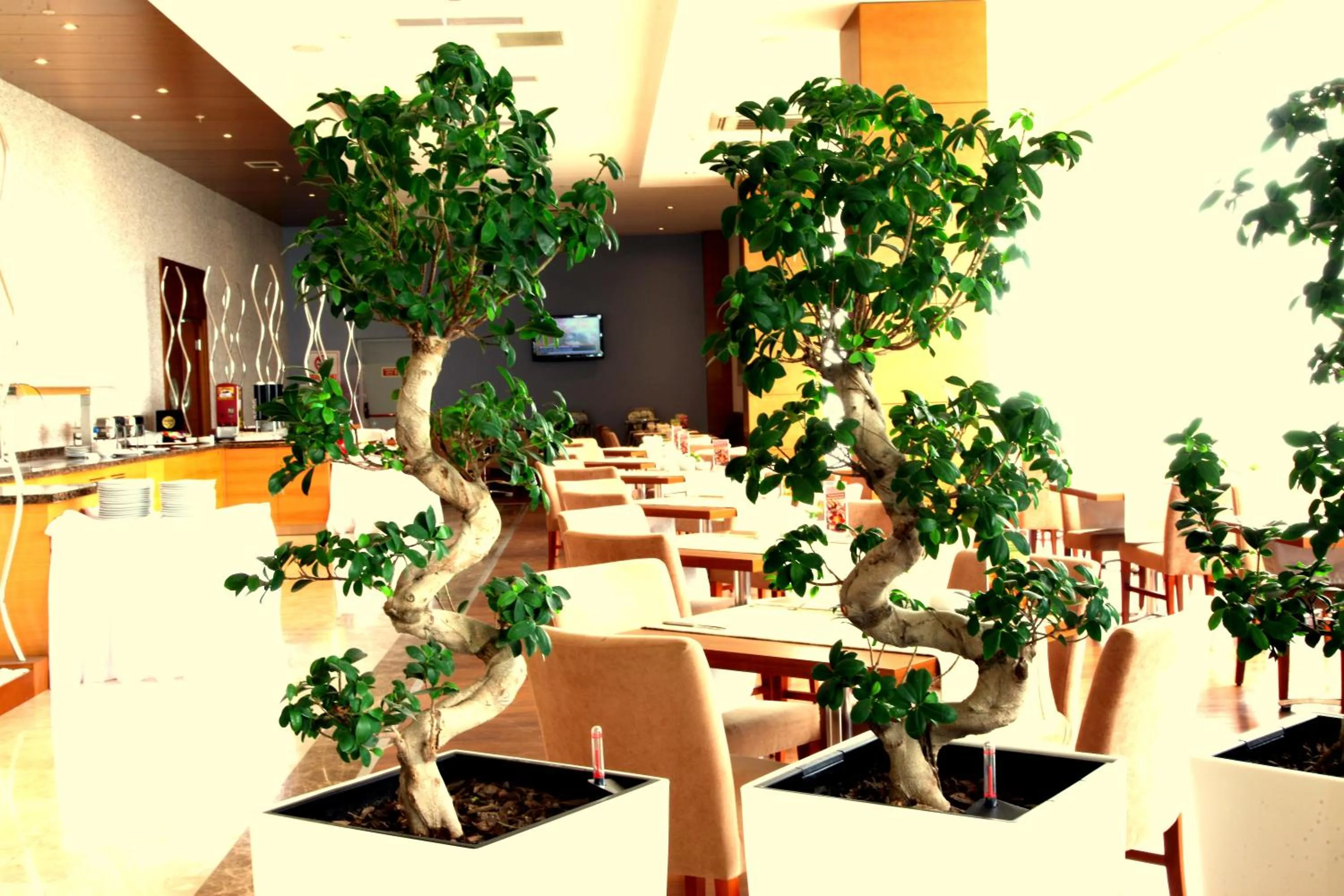 Day in Orucoglu Oreko Hotel