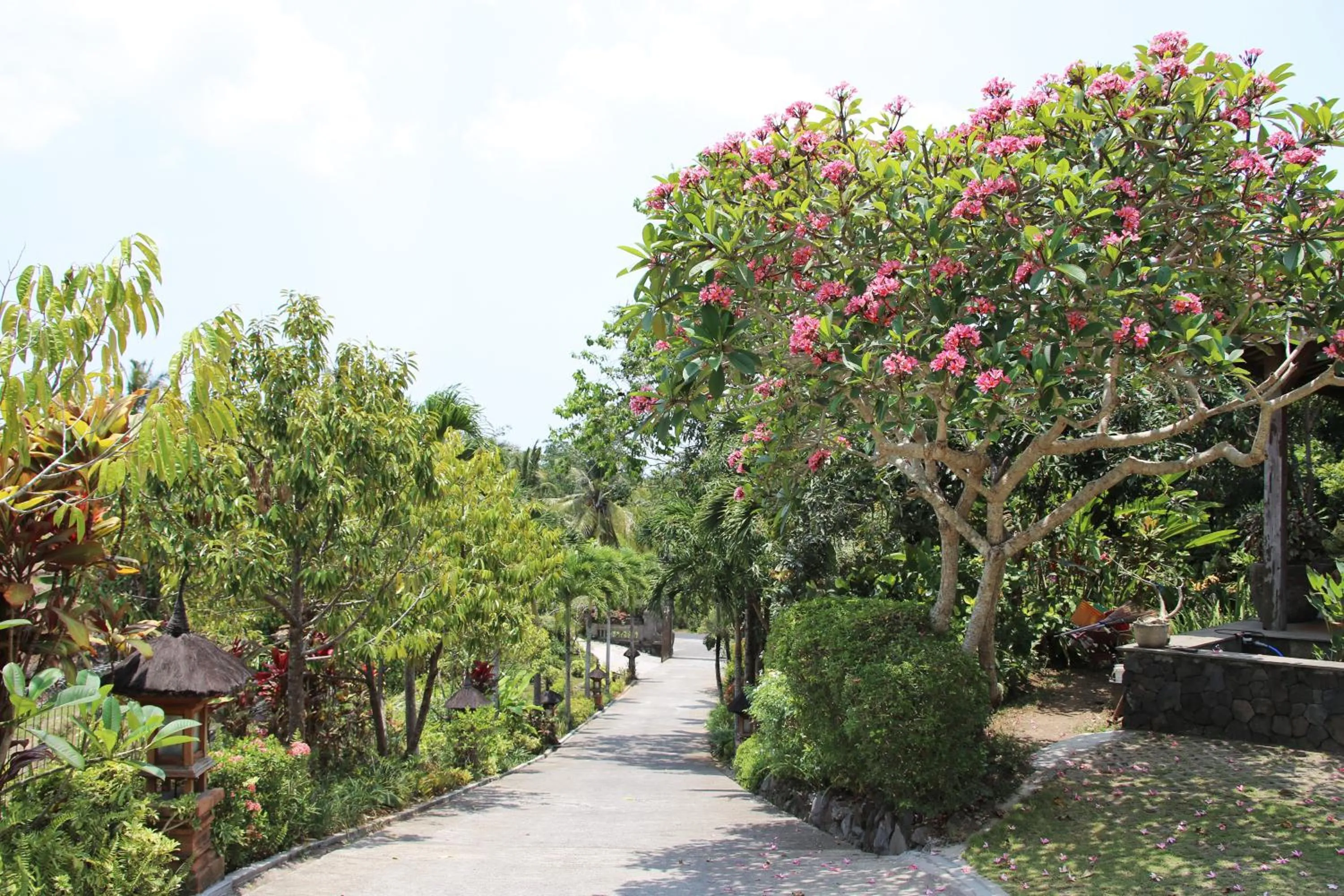 Facade/entrance in The Sanyas Retreat