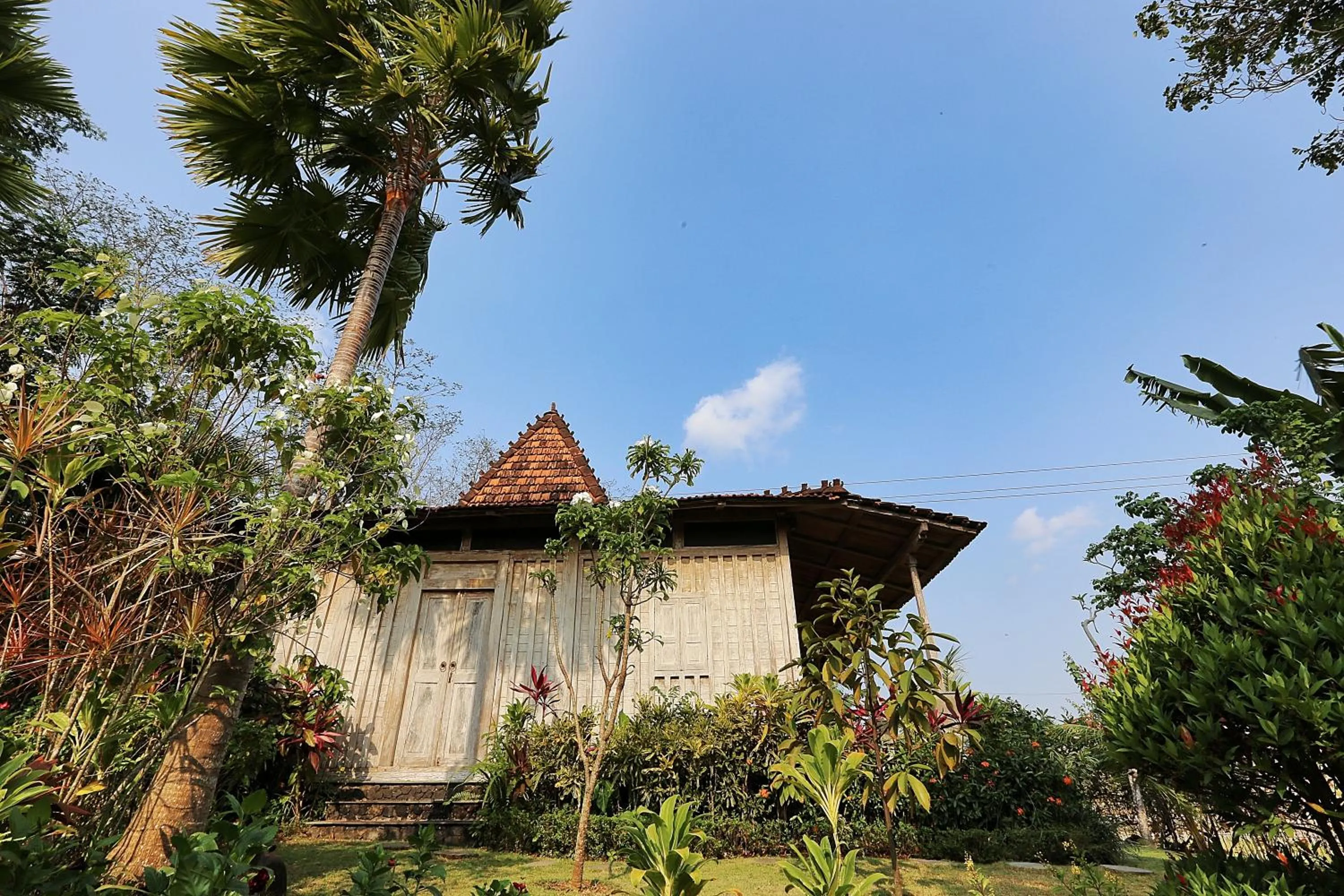 Balcony/Terrace in The Sanyas Retreat