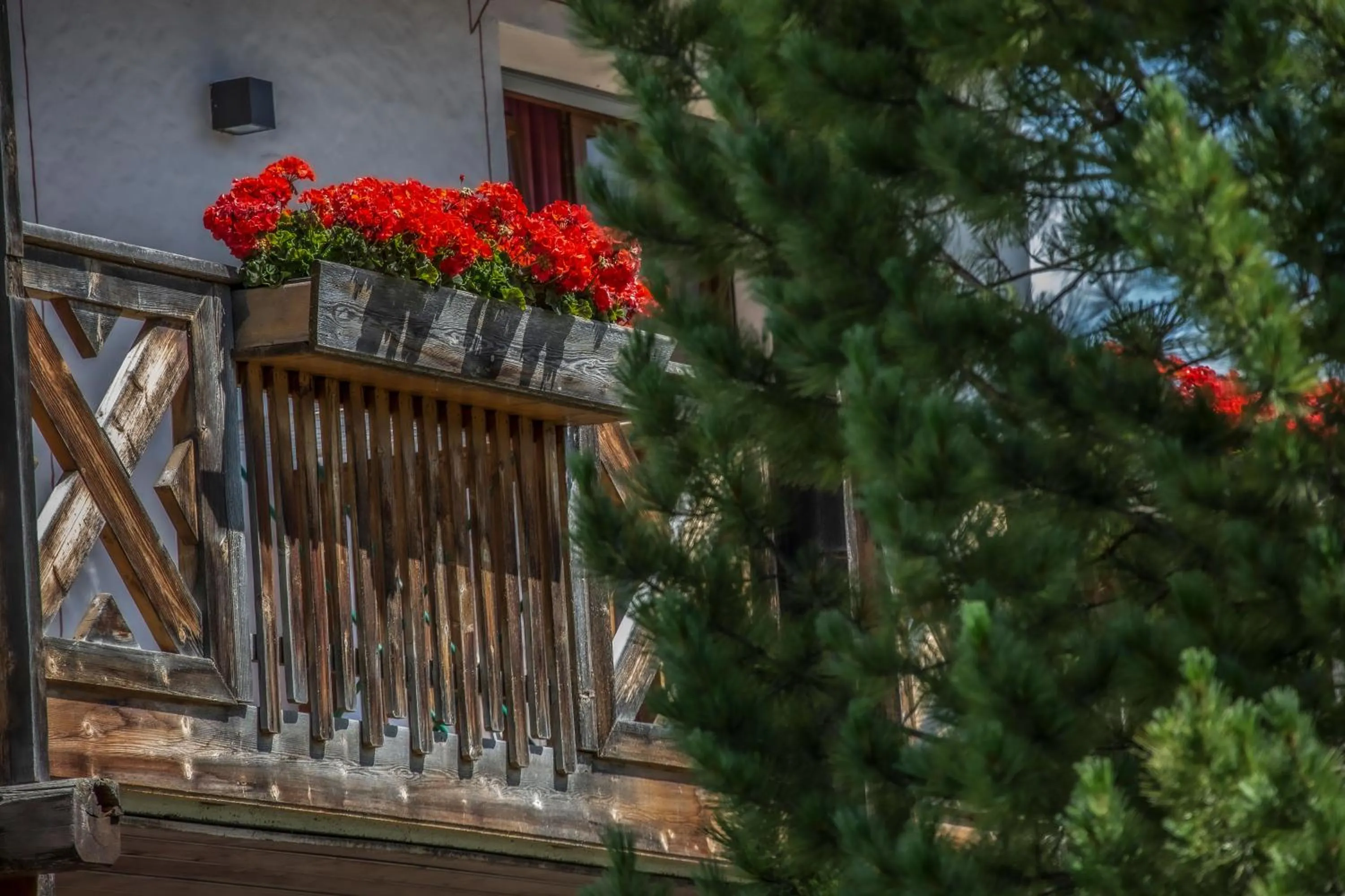 Spring in Residence Sas Vanna