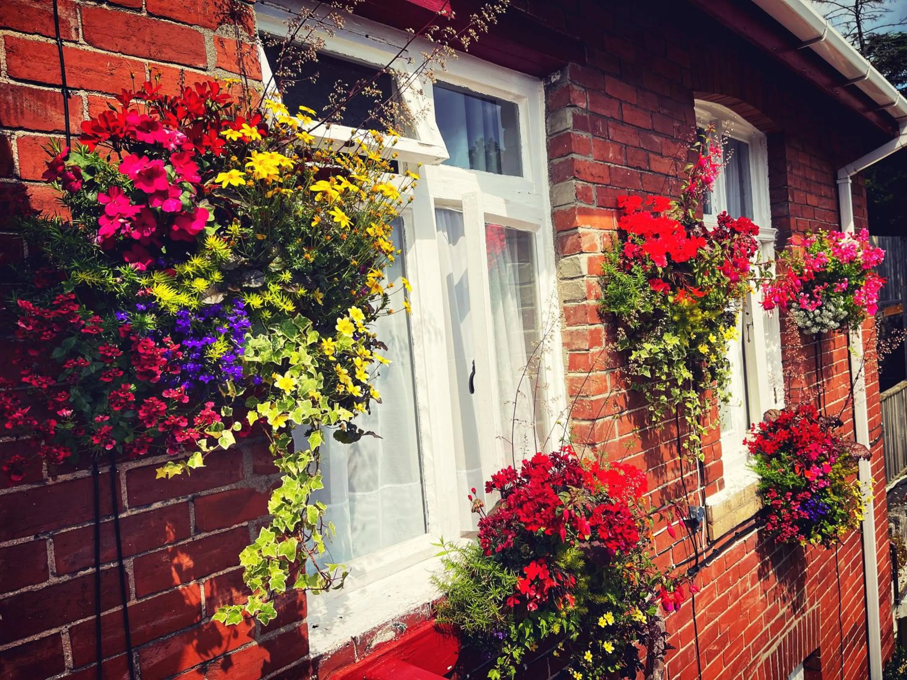 Property building in The Robin Hill