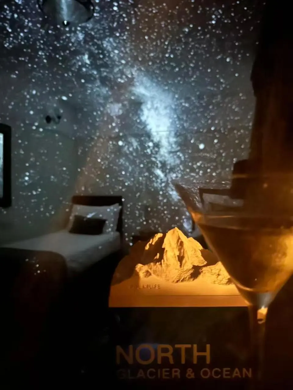 Night in The Robin Hill