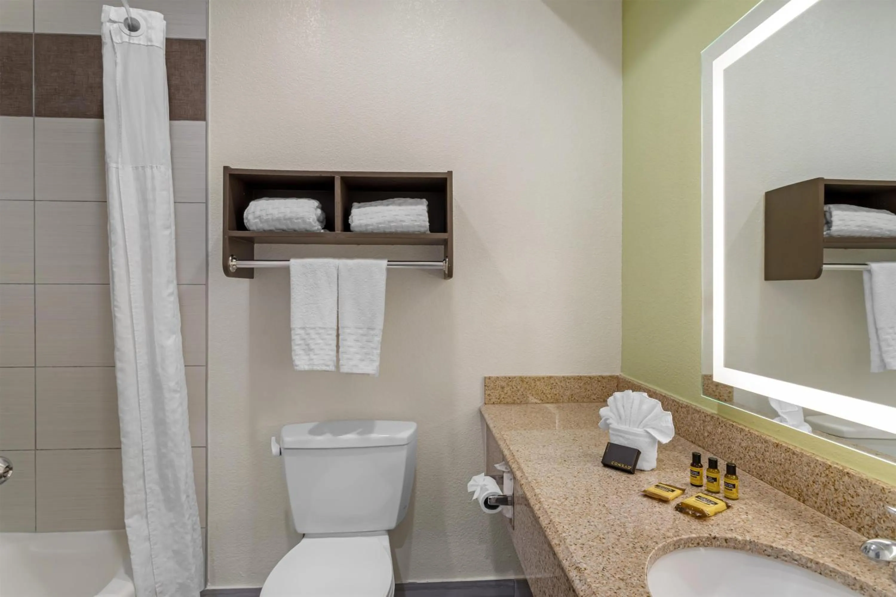 Bathroom in Best Western Plus North Houston Inn & Suites