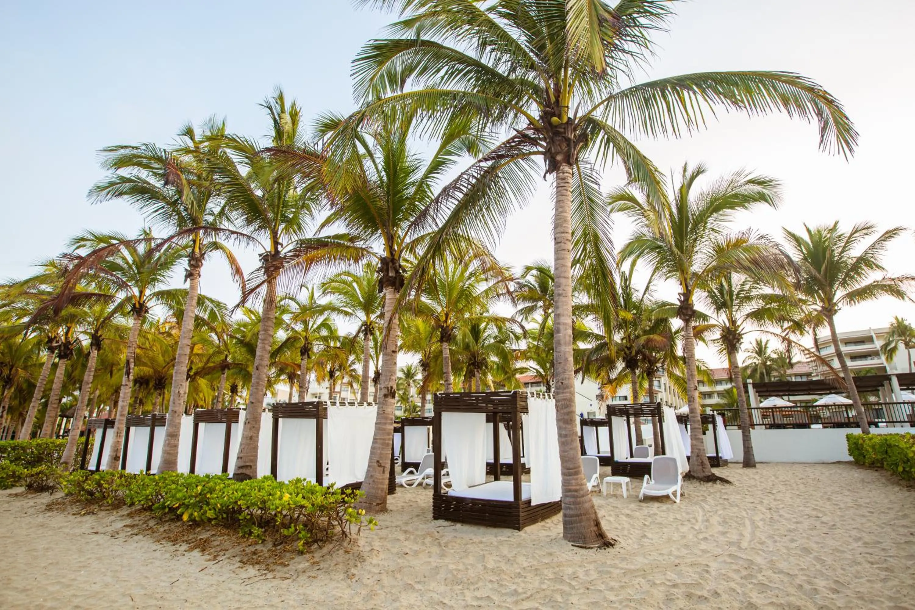 Beach in Occidental Nuevo Vallarta - All Inclusive